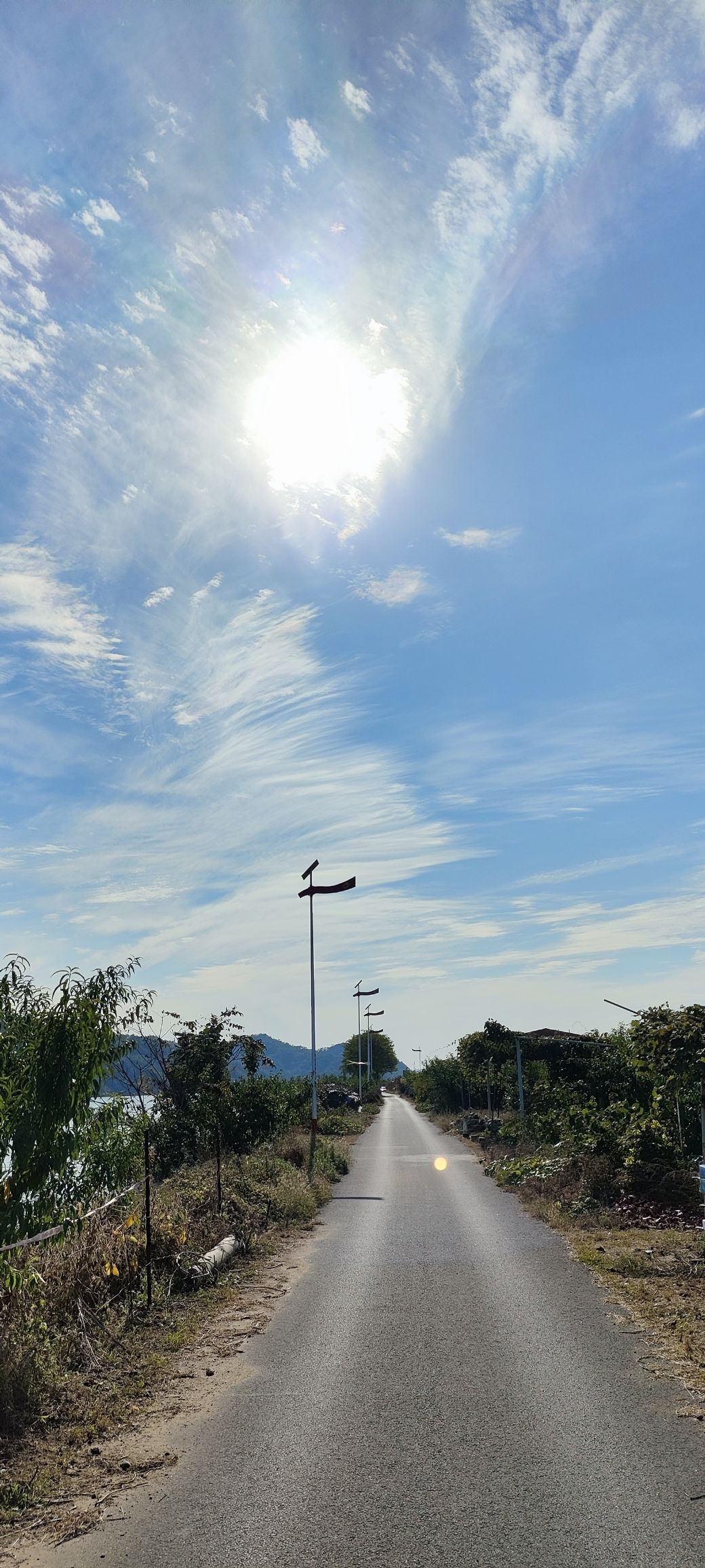丹东桃花岛旅行图片 1