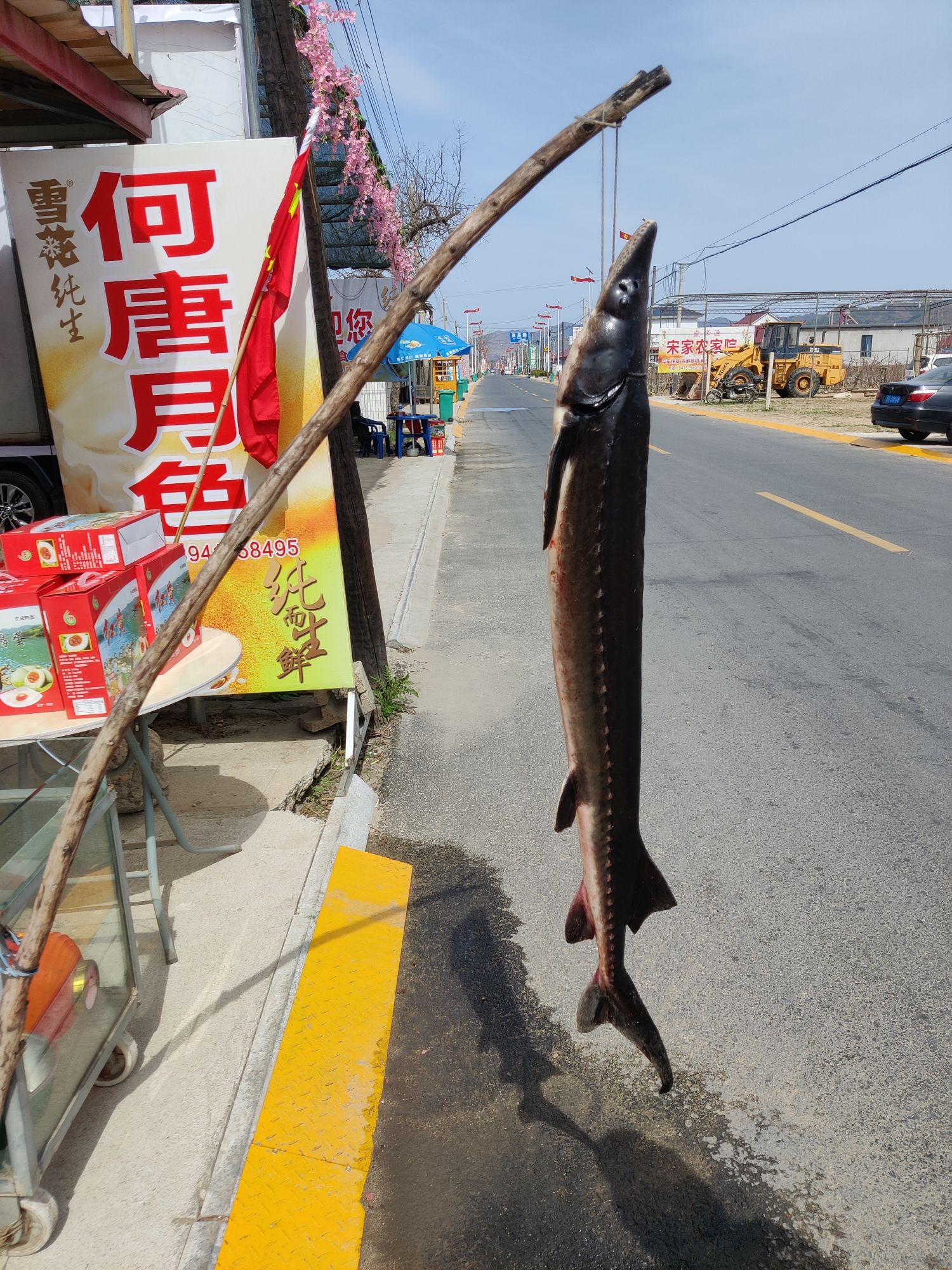 丹东桃花岛旅行图片 2