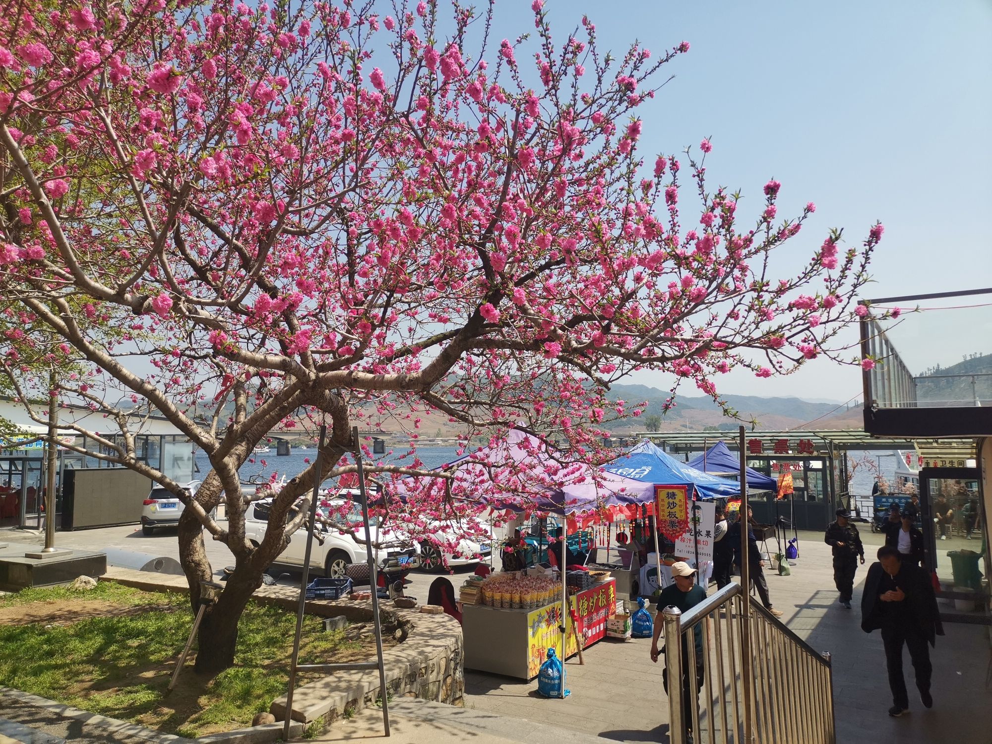 丹东桃花岛旅行图片 3
