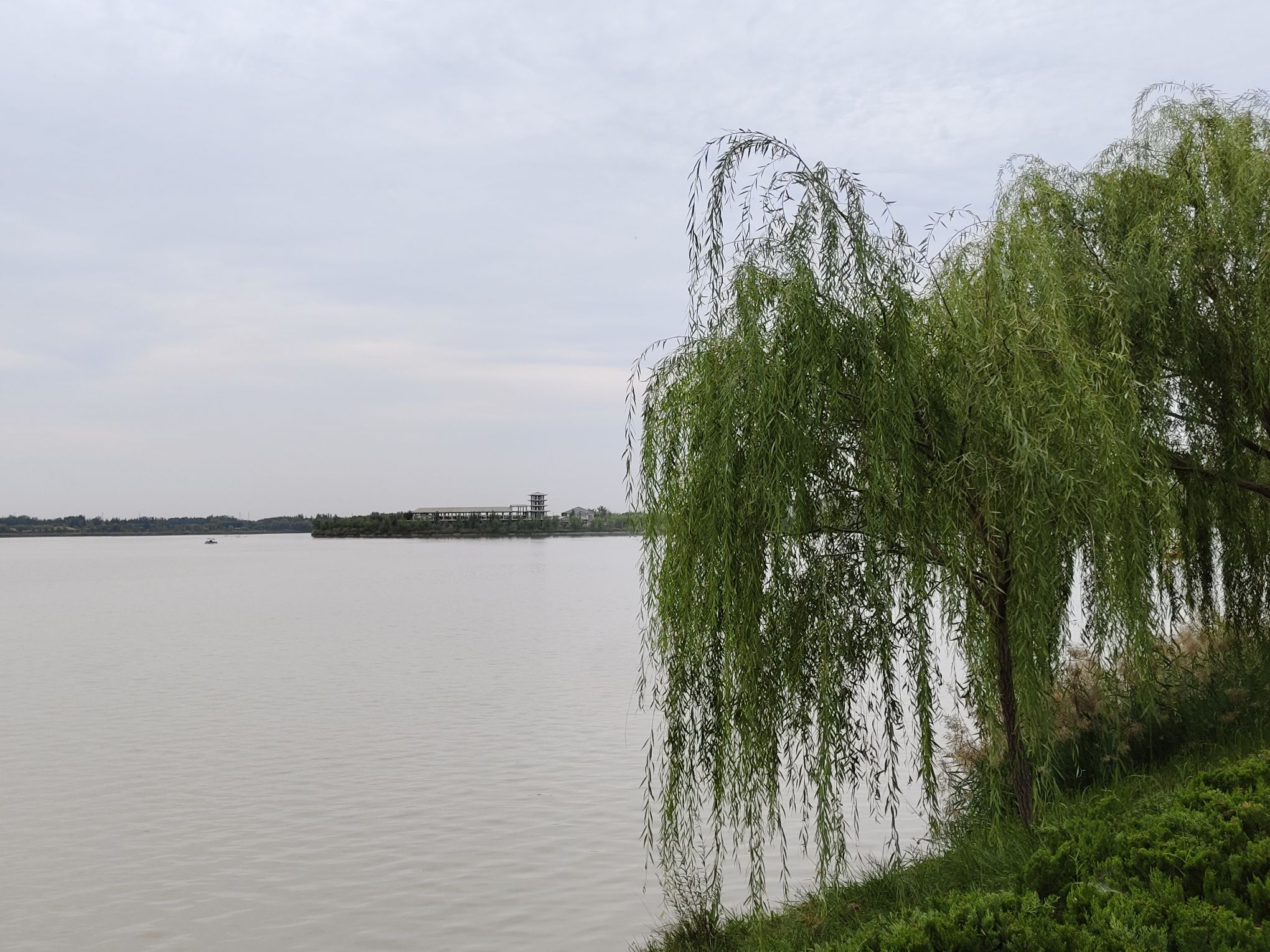 双海湖风景区旅行图片 3