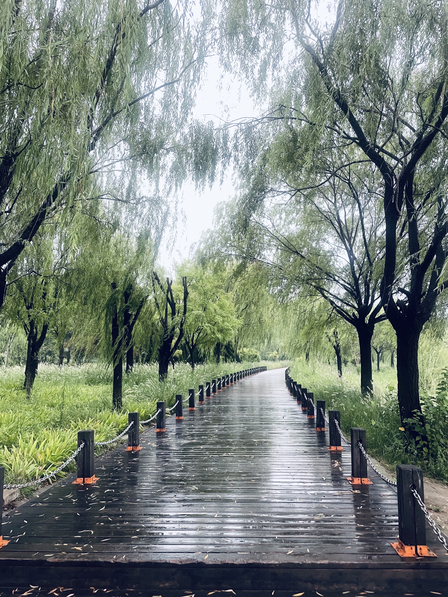 双海湖风景区旅行图片 1