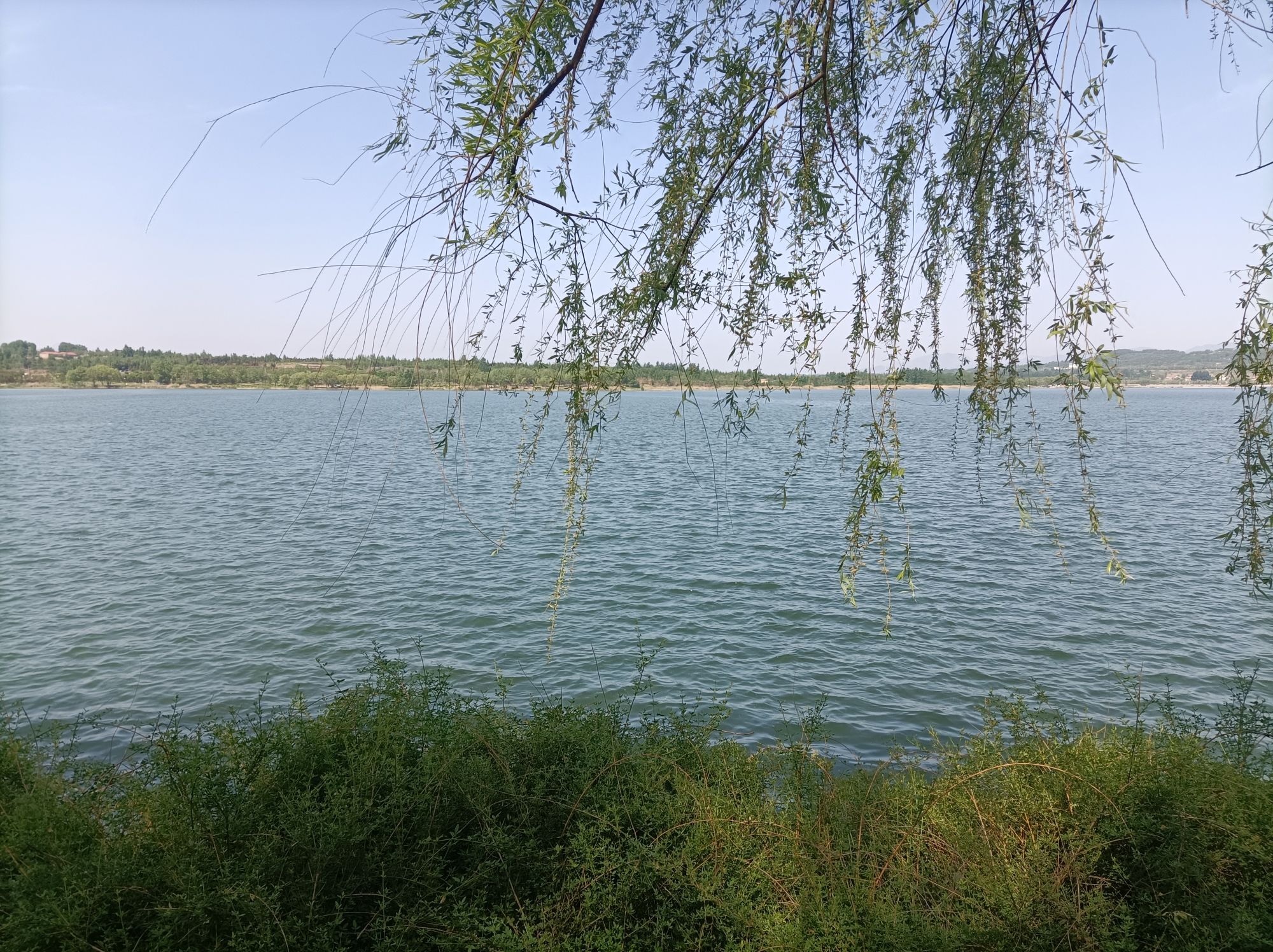 文昌湖省级旅游度假区旅行图片 1
