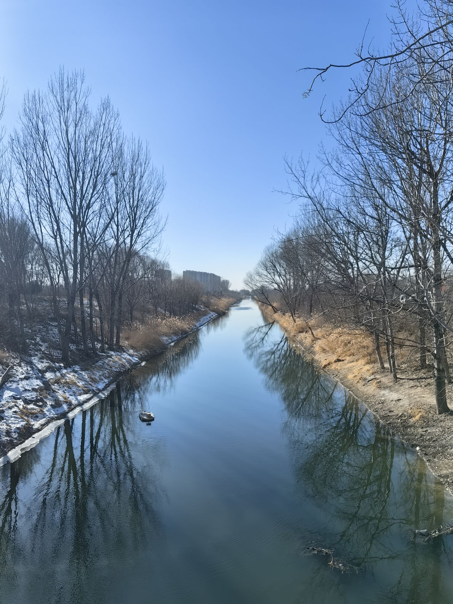 大厂书画院公园旅行图片 2