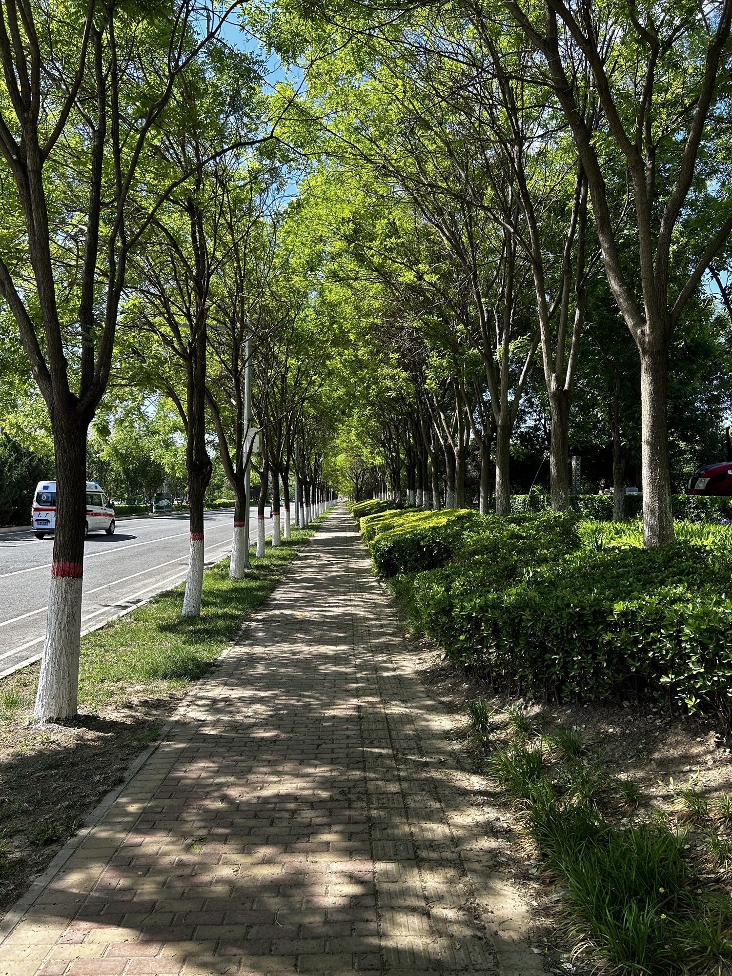 大厂书画院公园旅行图片 2