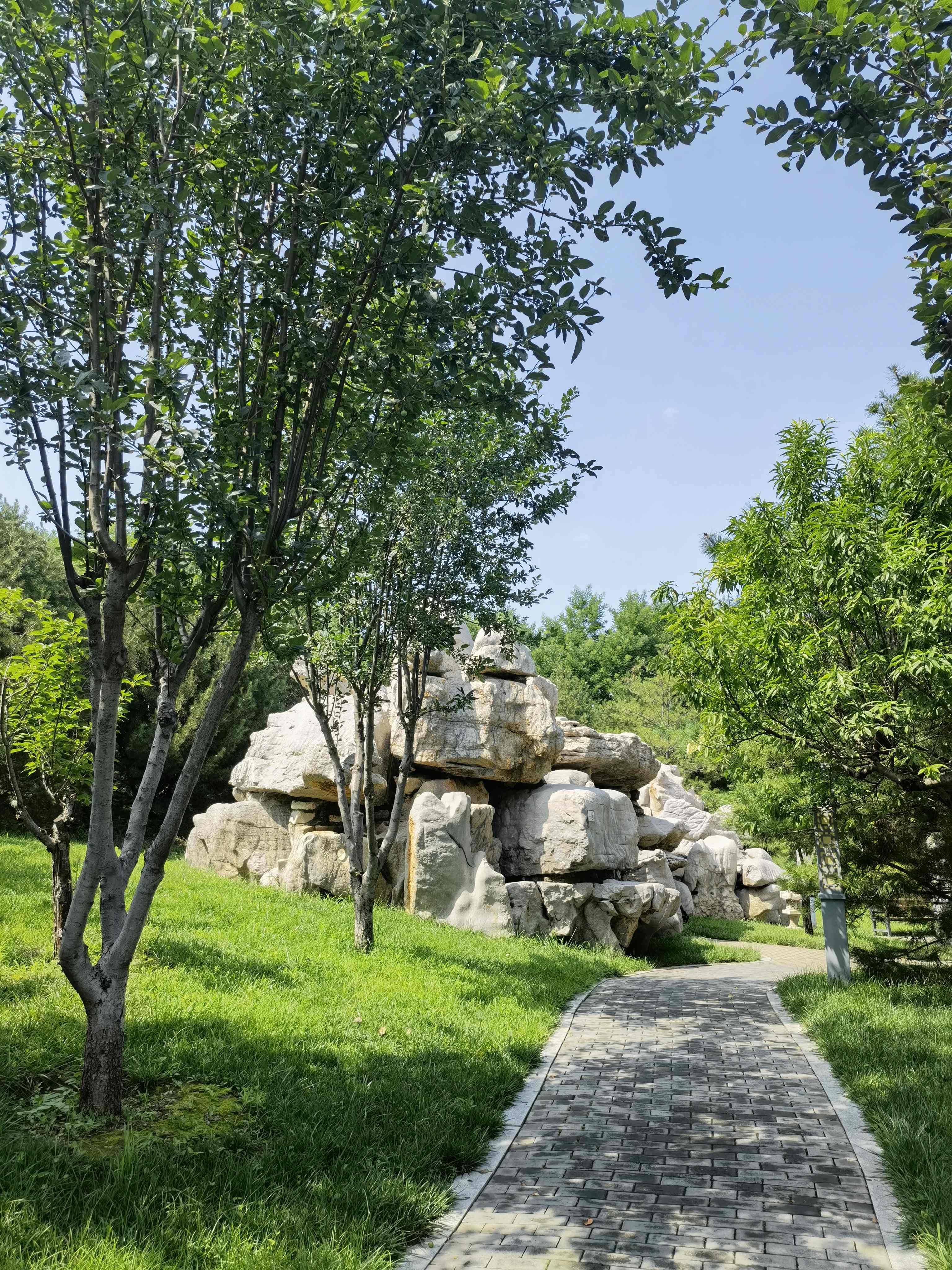 大厂书画院公园旅行图片 3