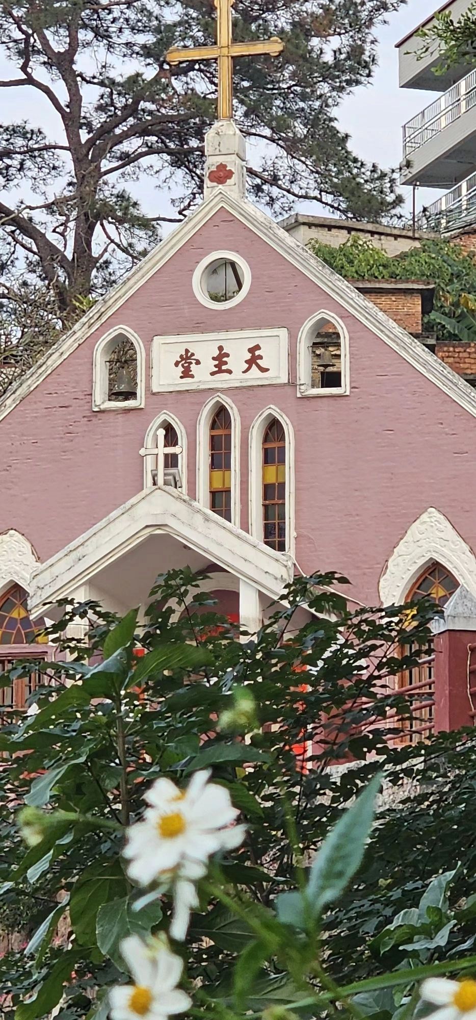 上清湾古巷旅行图片 1
