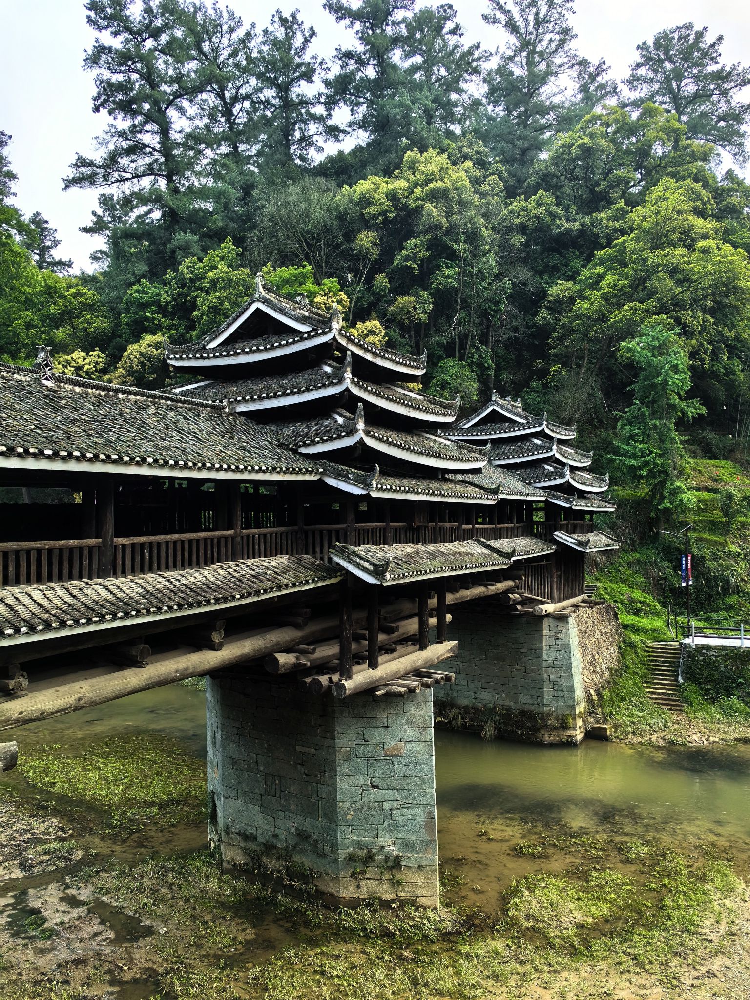 独峒岜团桥景区旅行图片 3