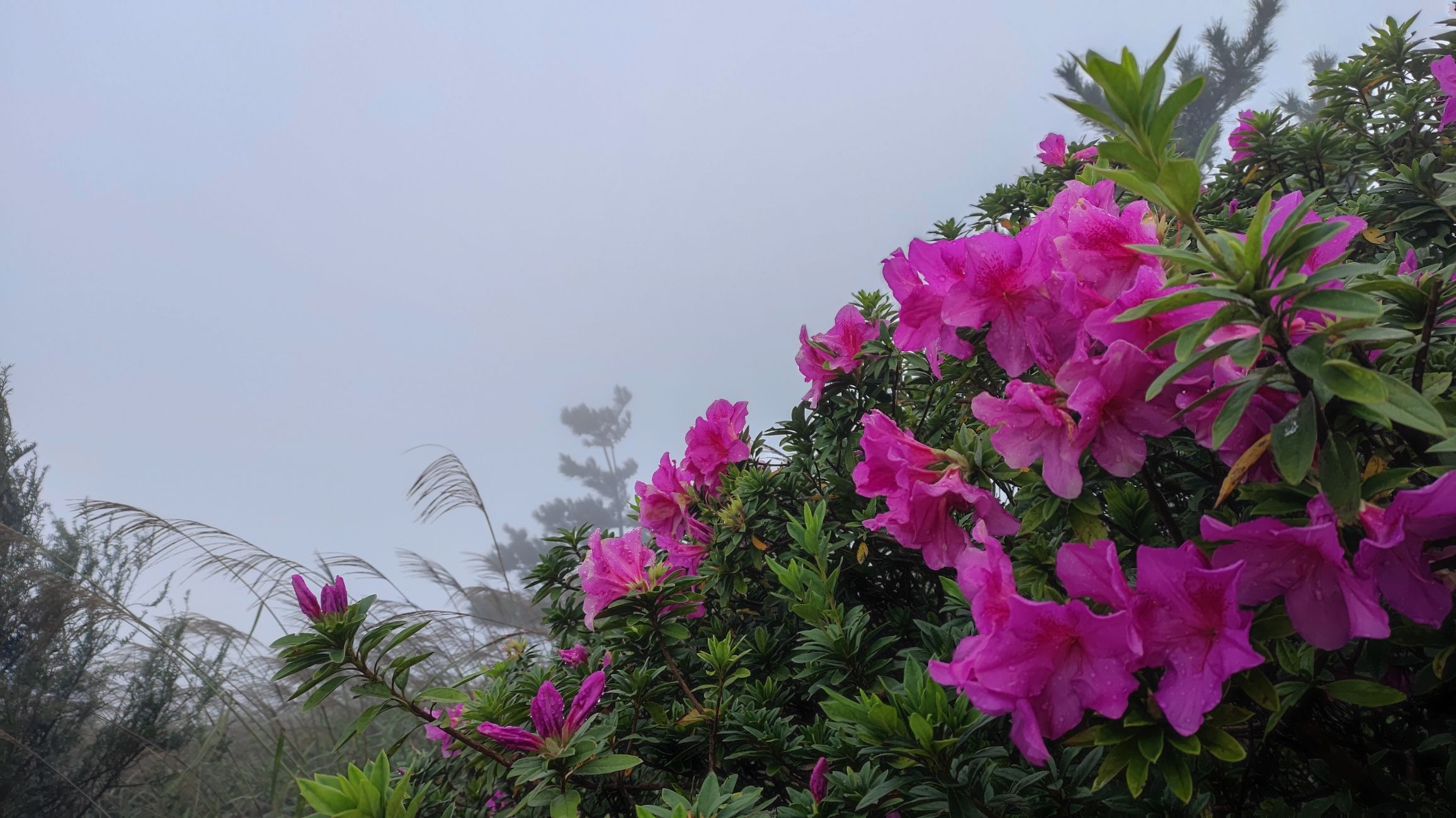 漳州平和名峰山景区旅行图片 2