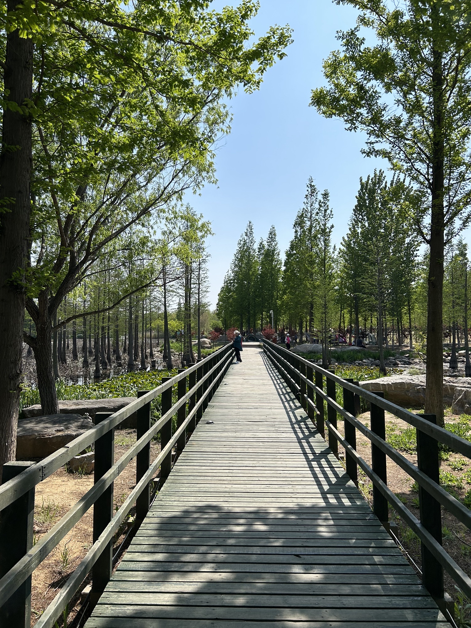 鱼鸟河公园旅行图片 3