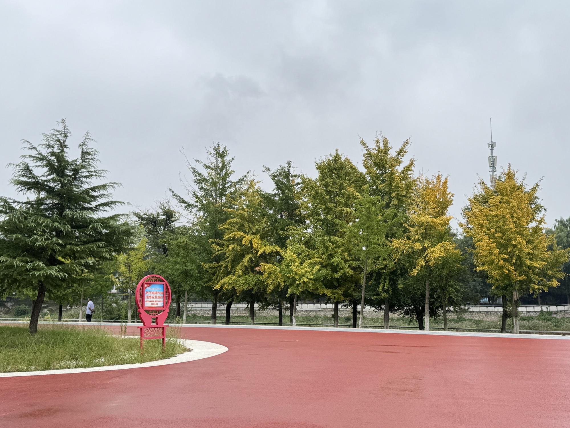鱼鸟河公园旅行图片 3