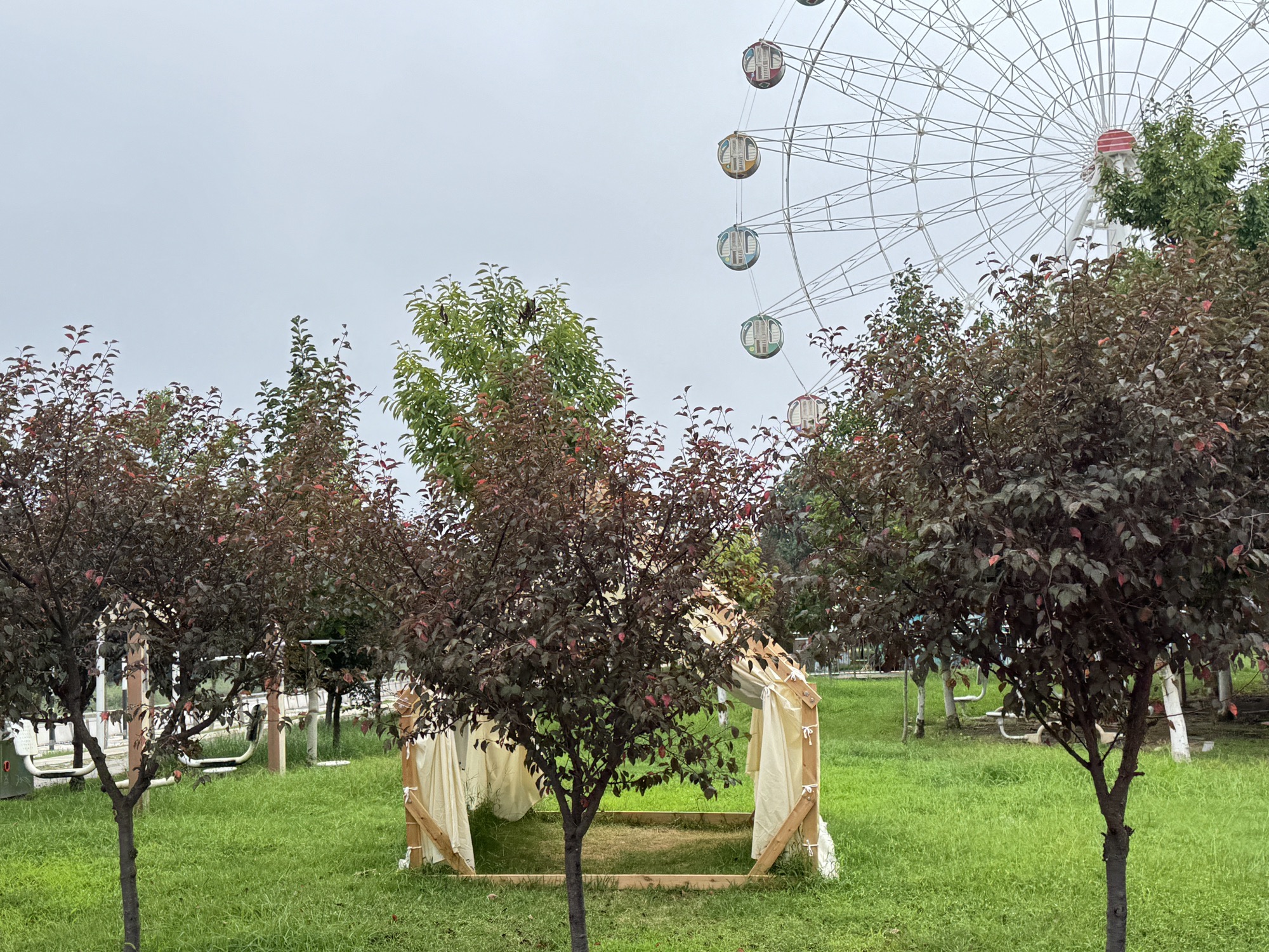 鱼鸟河公园旅行图片 1