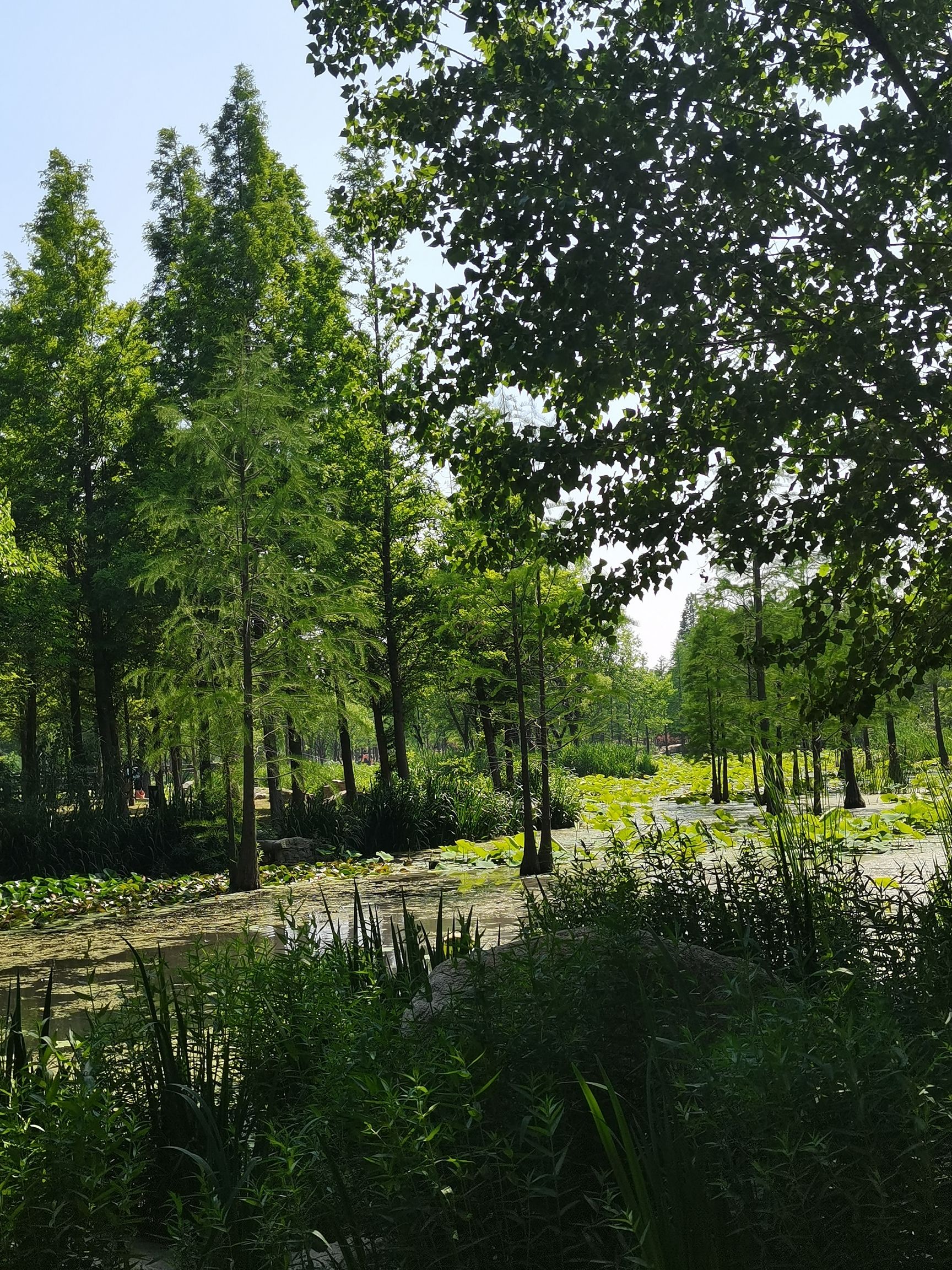 鱼鸟河公园旅行图片 2