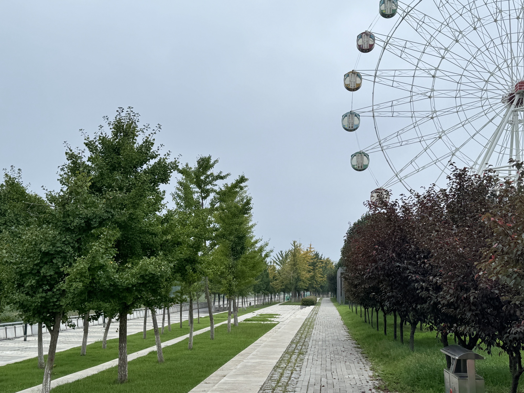鱼鸟河公园旅行图片 2