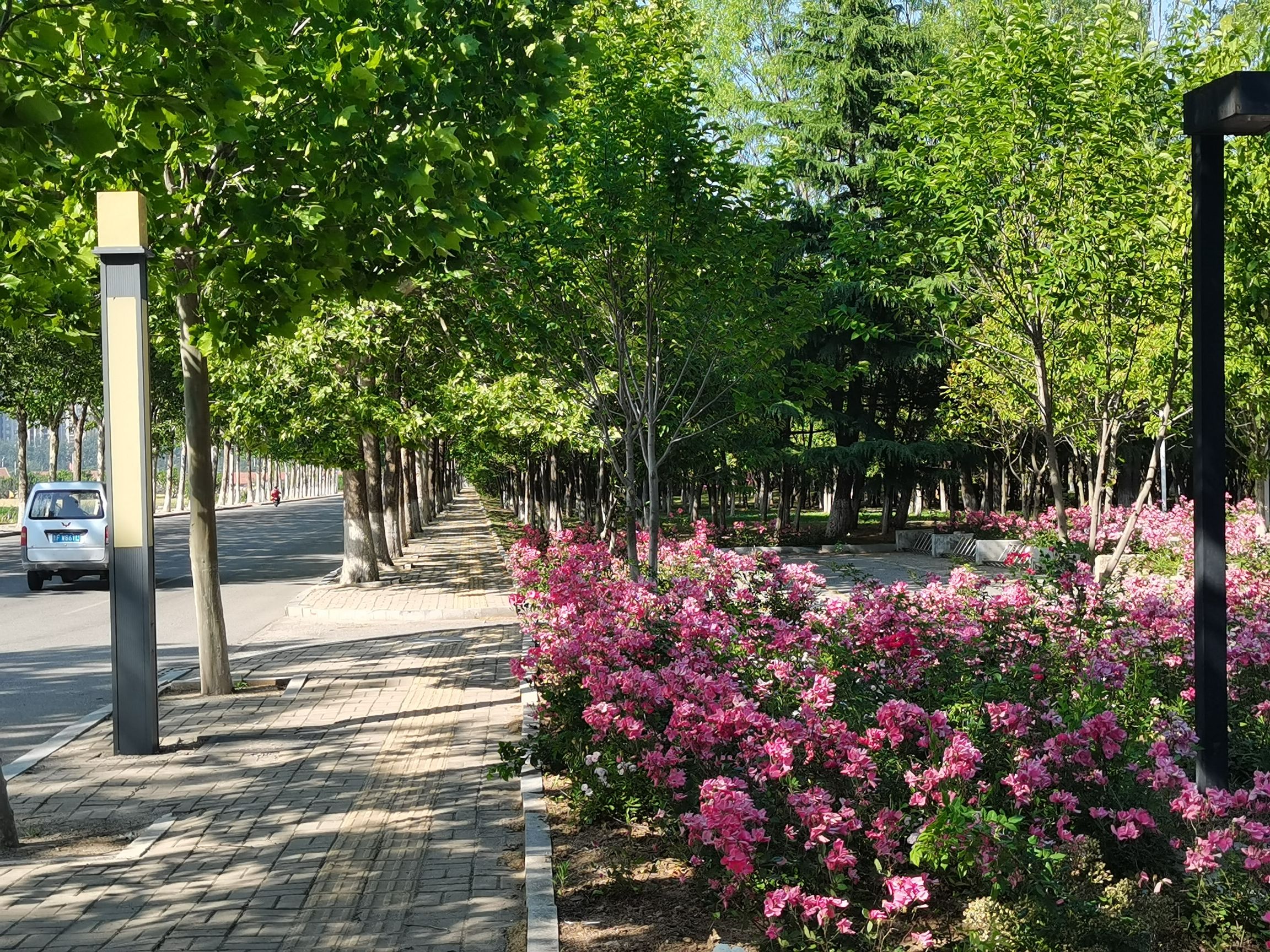 鱼鸟河公园旅行图片 3