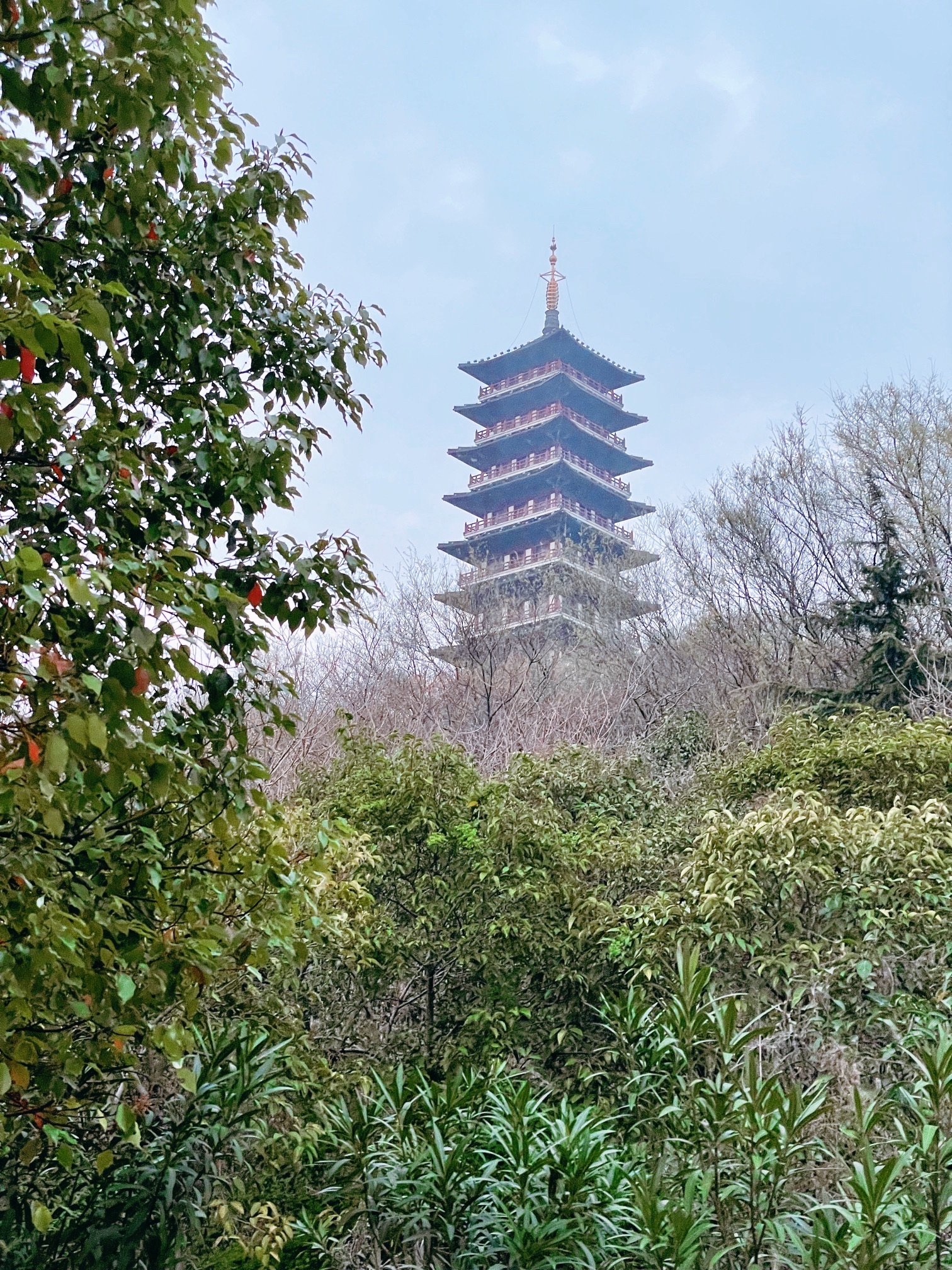 官林钟楼旅行图片 1