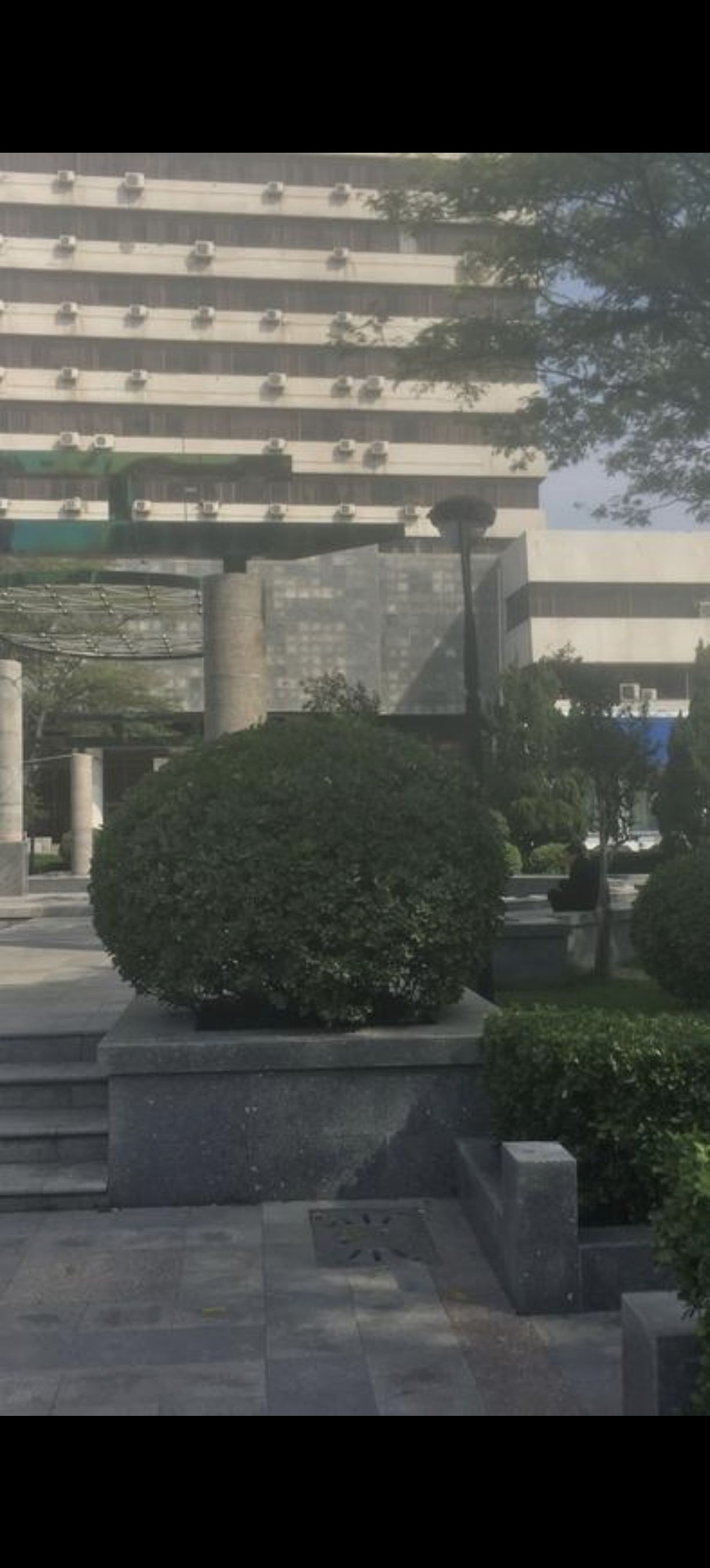 朱雀苑广场旅行图片 2