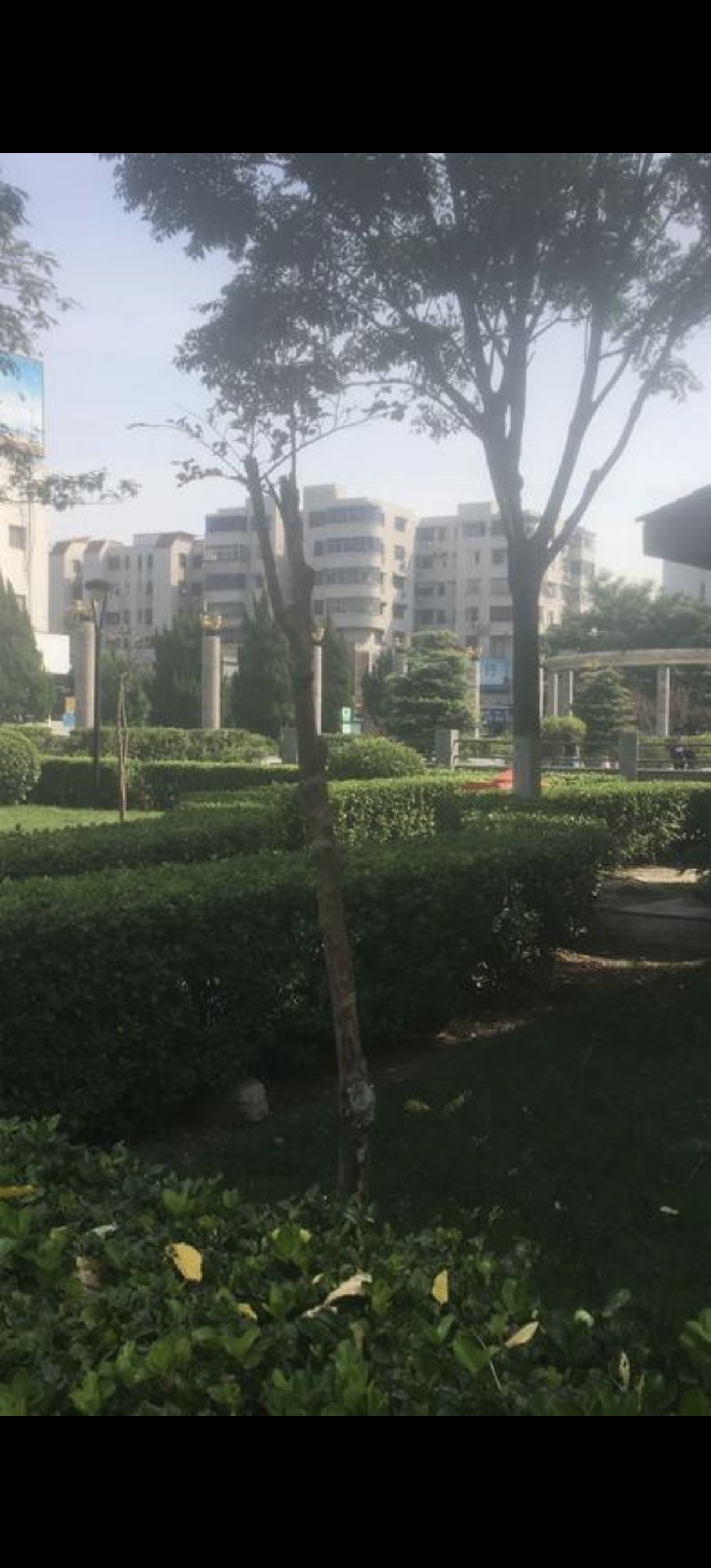 朱雀苑广场旅行图片 1