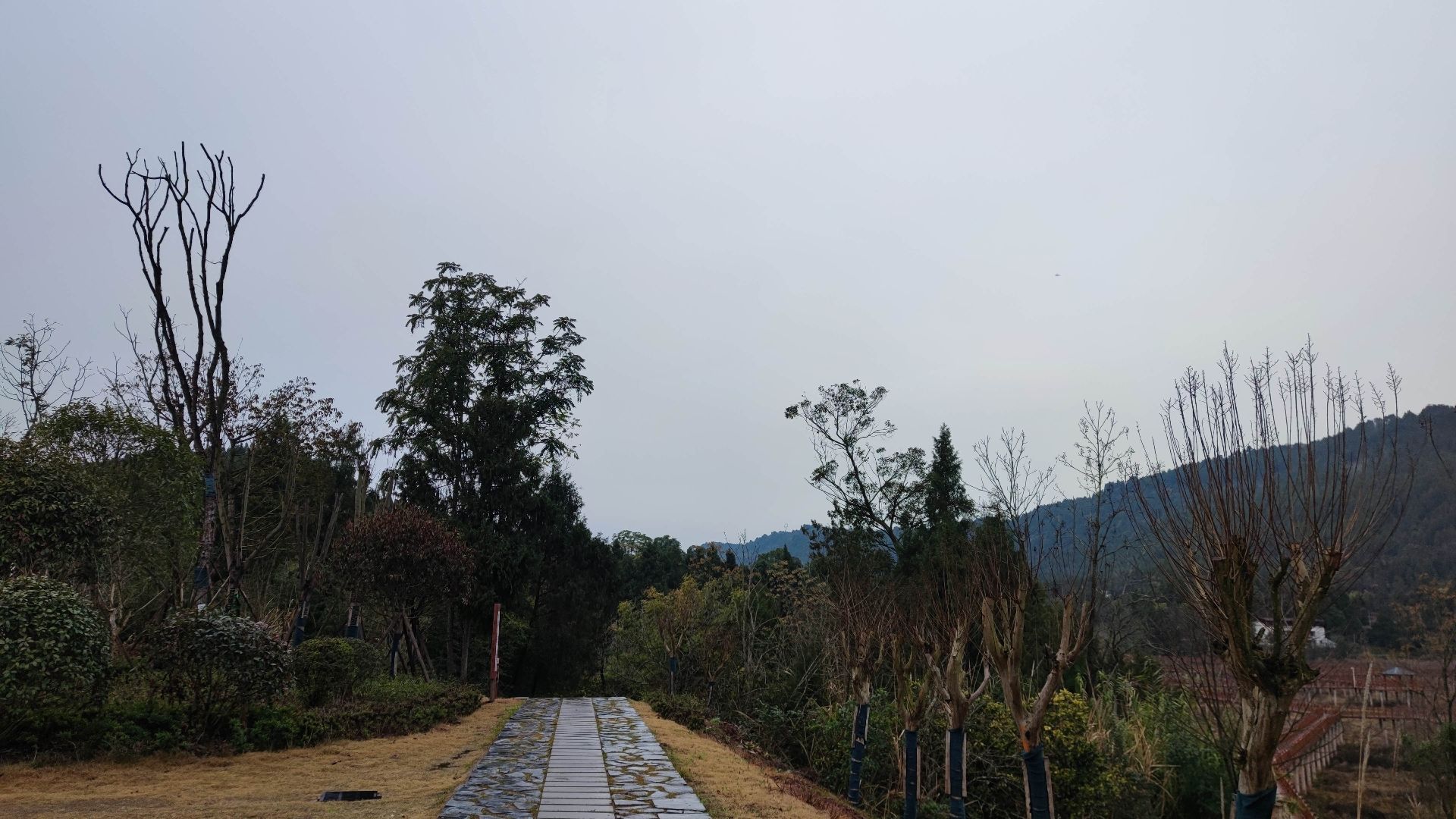四川营山清水湖国家湿地公园旅行图片 1