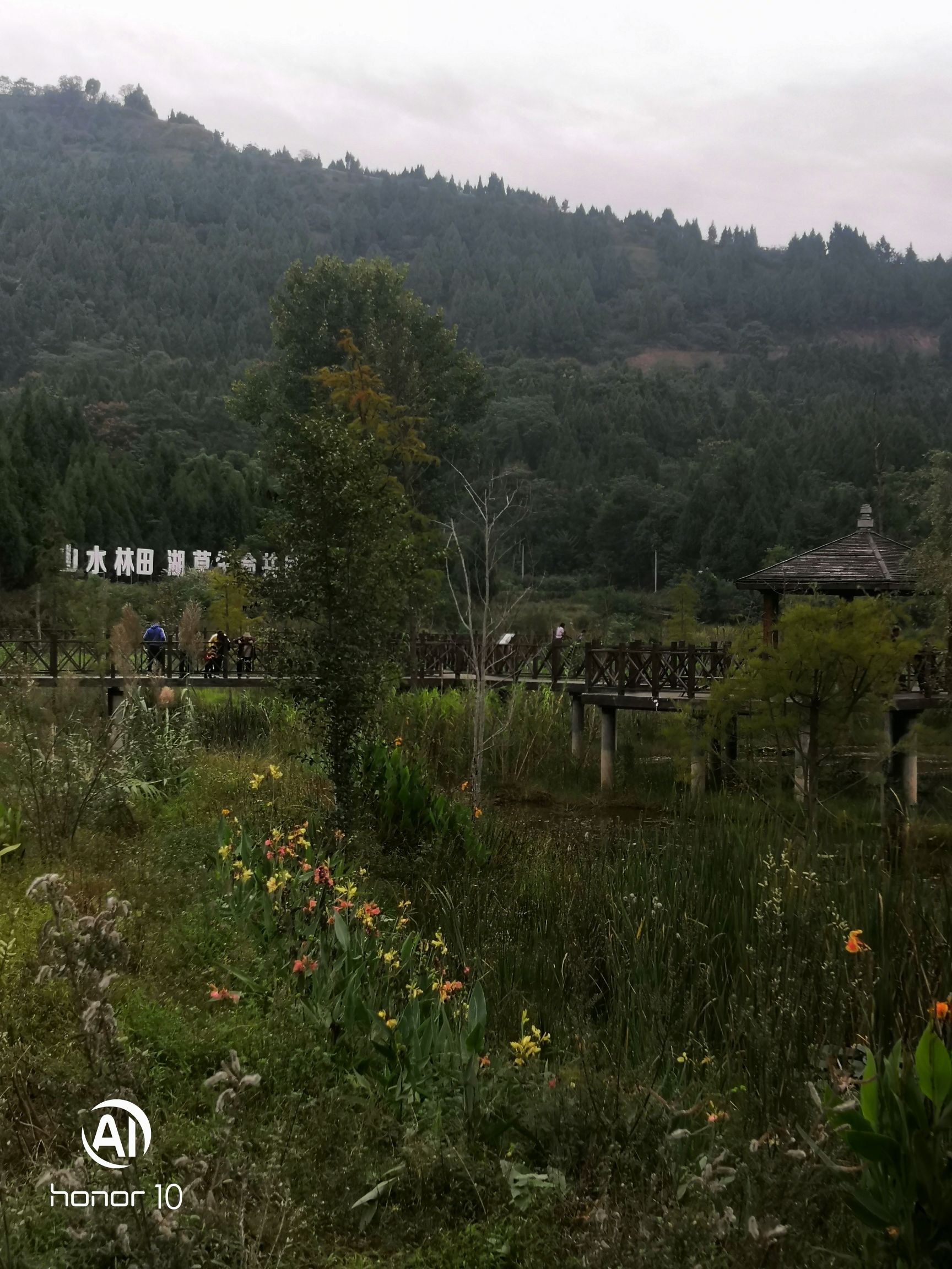四川营山清水湖国家湿地公园旅行图片 3