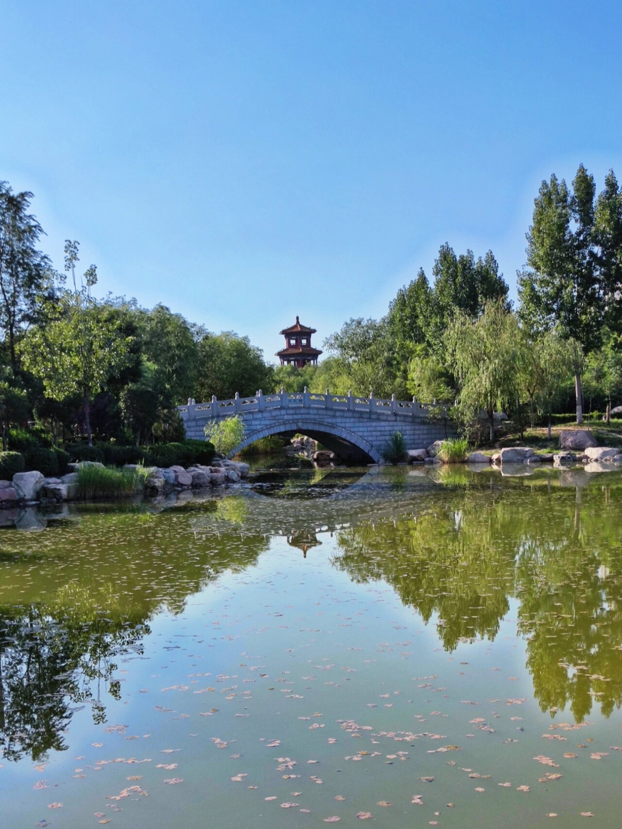天逸公园