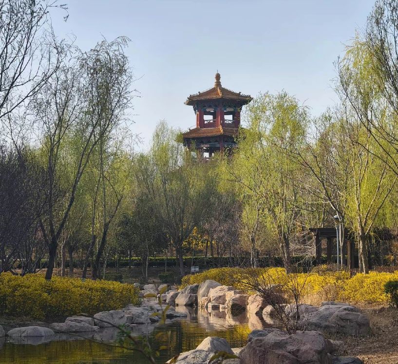 天逸公园旅行图片 3