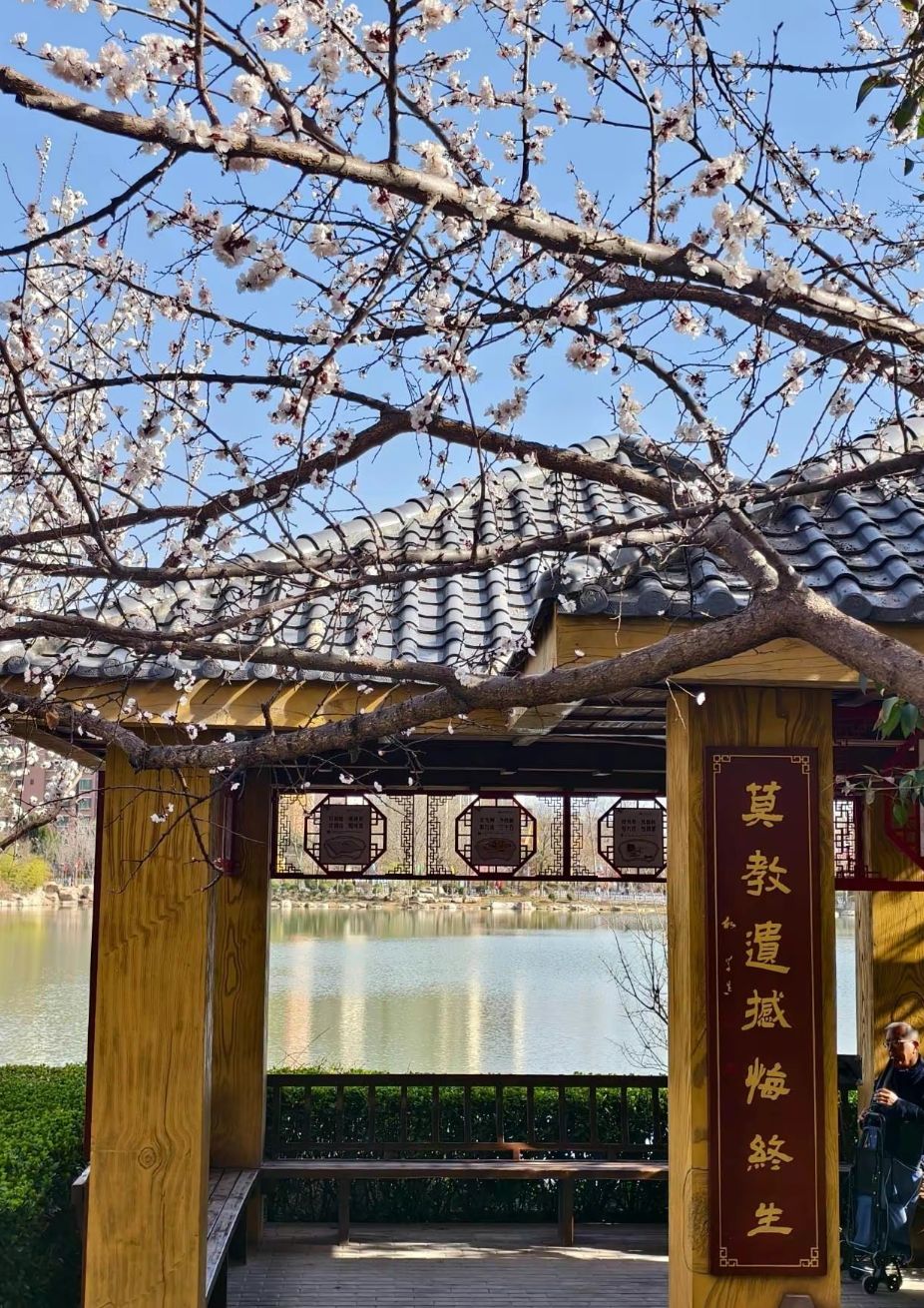 天逸公园旅行图片 1