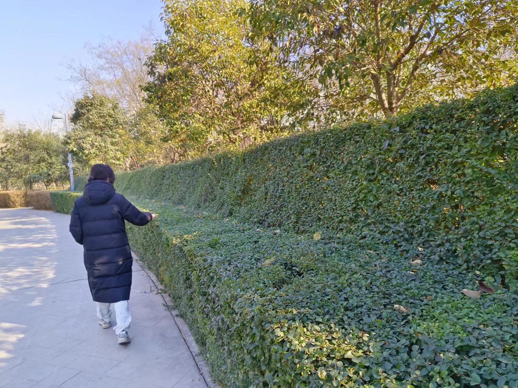 天逸公园旅行图片 2