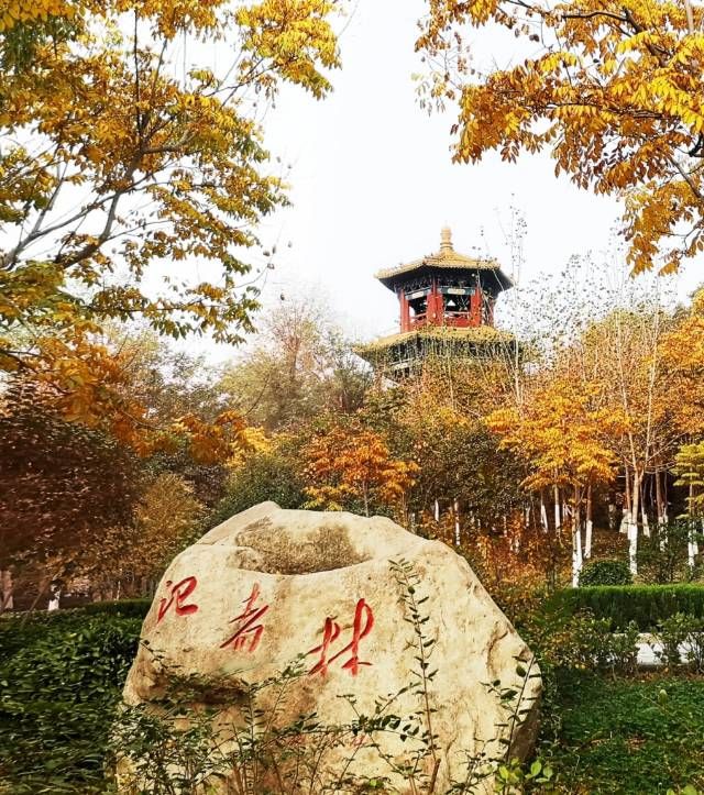 天逸公园旅行图片 2