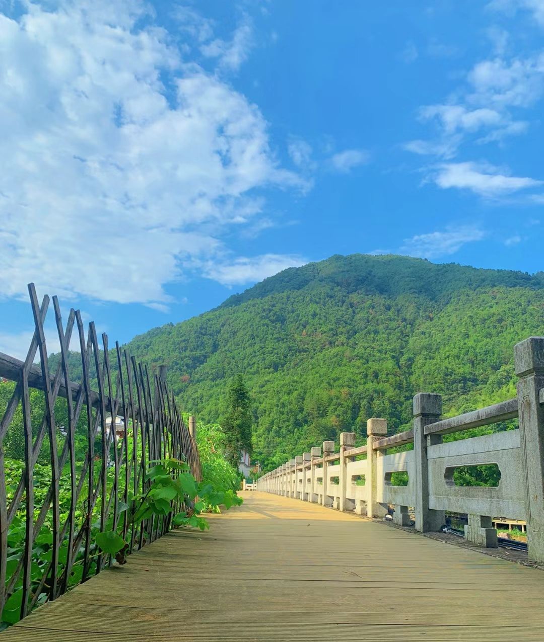 福安市溪塔葡萄沟旅游景区旅行图片 2