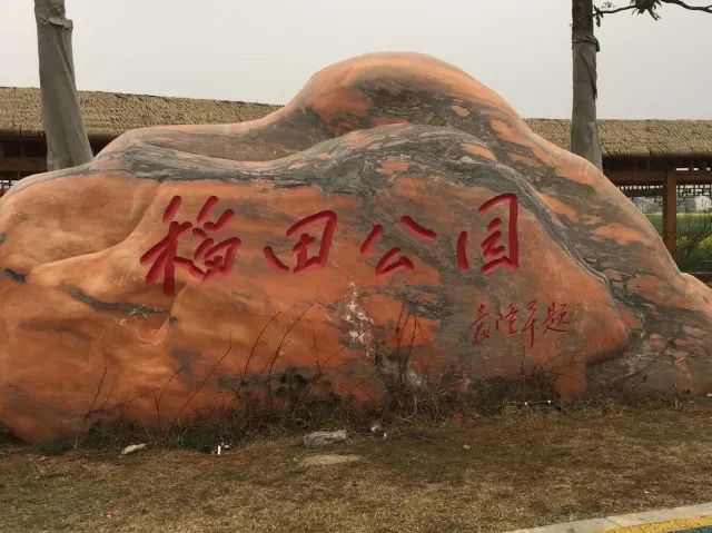 稻田公园旅行图片 3