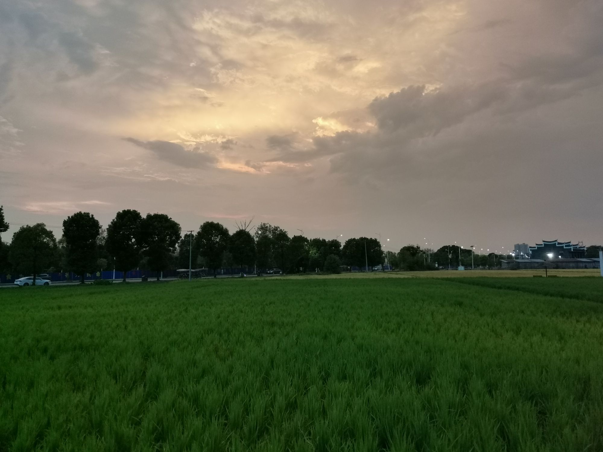 稻田公园旅行图片 3