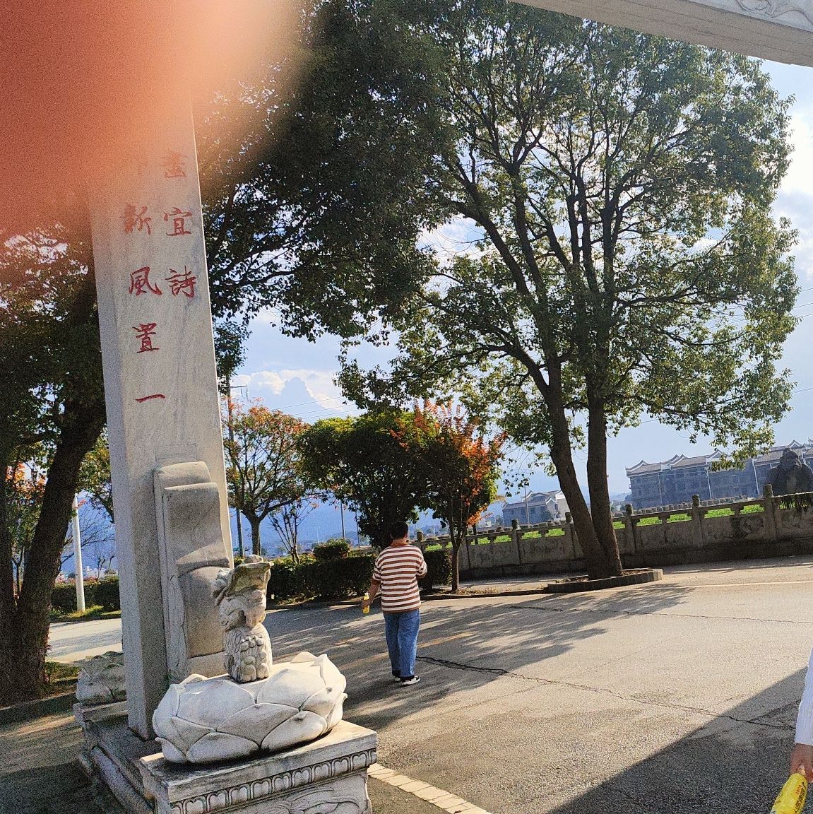 稻田公园旅行图片 3