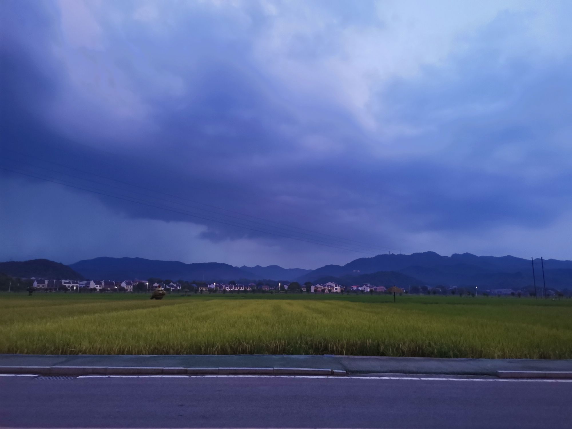 稻田公园旅行图片 1