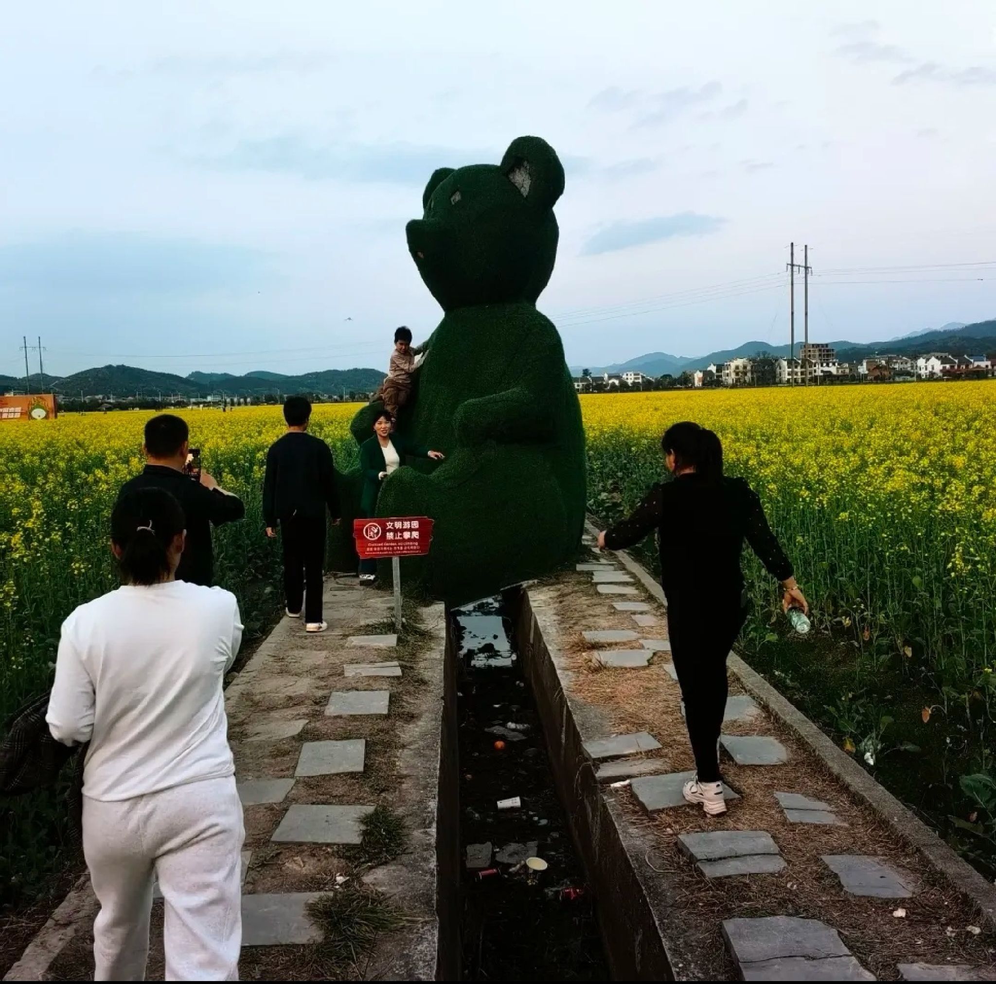稻田公园旅行图片 1