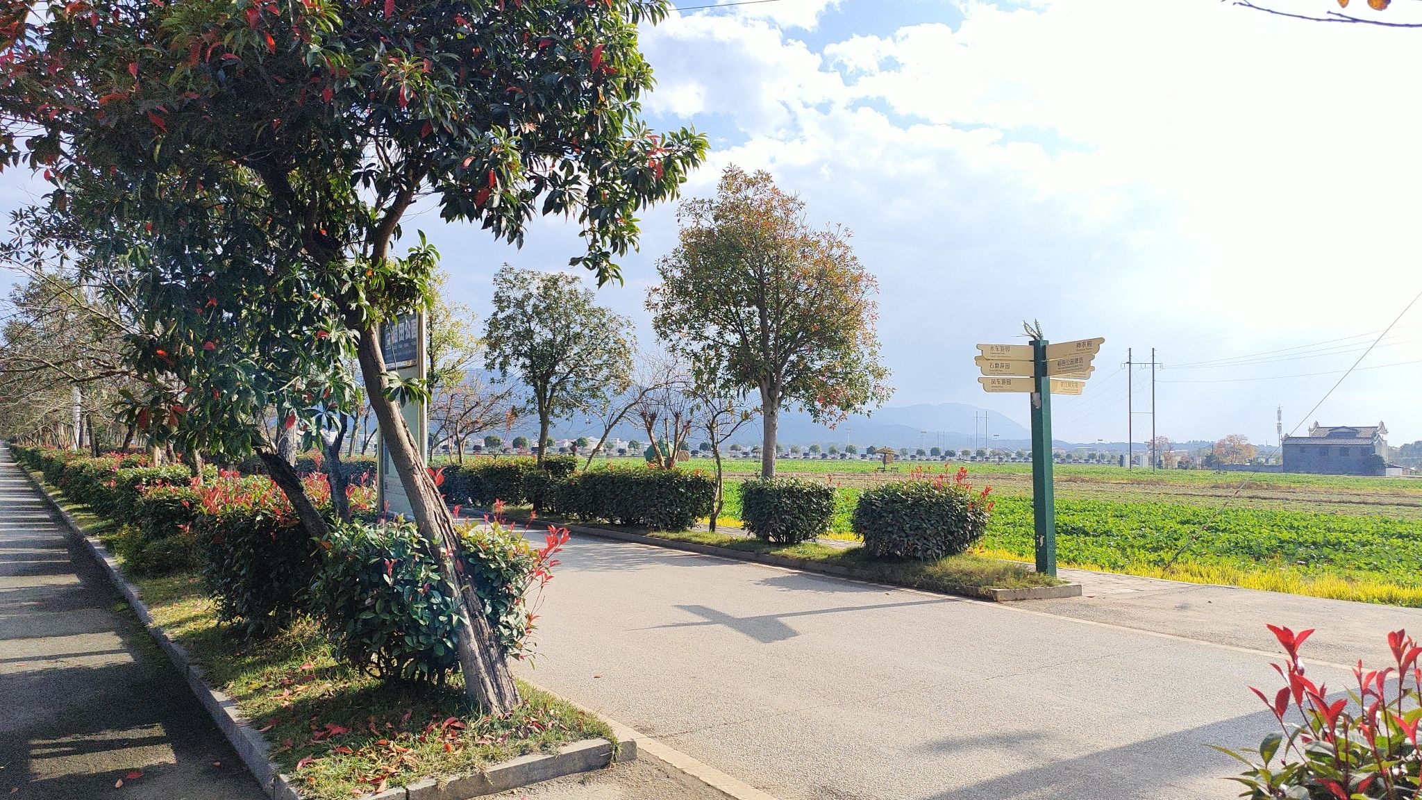 稻田公园旅行图片 1