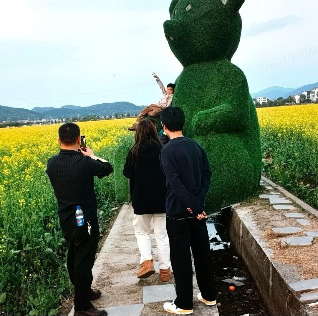 稻田公园旅行图片 2
