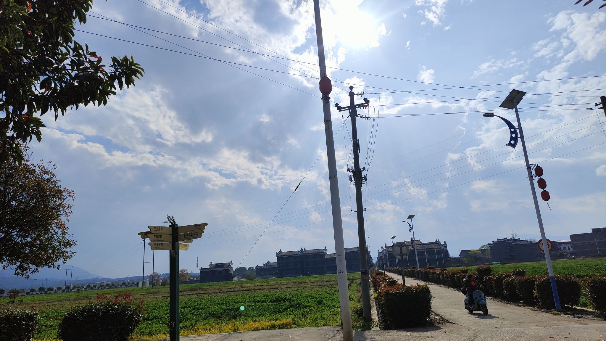 稻田公园旅行图片 2