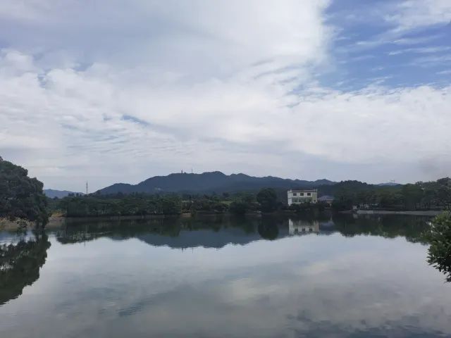 稻田公园旅行图片 1