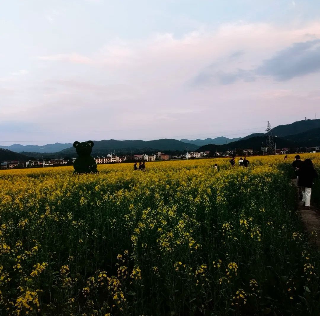 稻田公园旅行图片 3