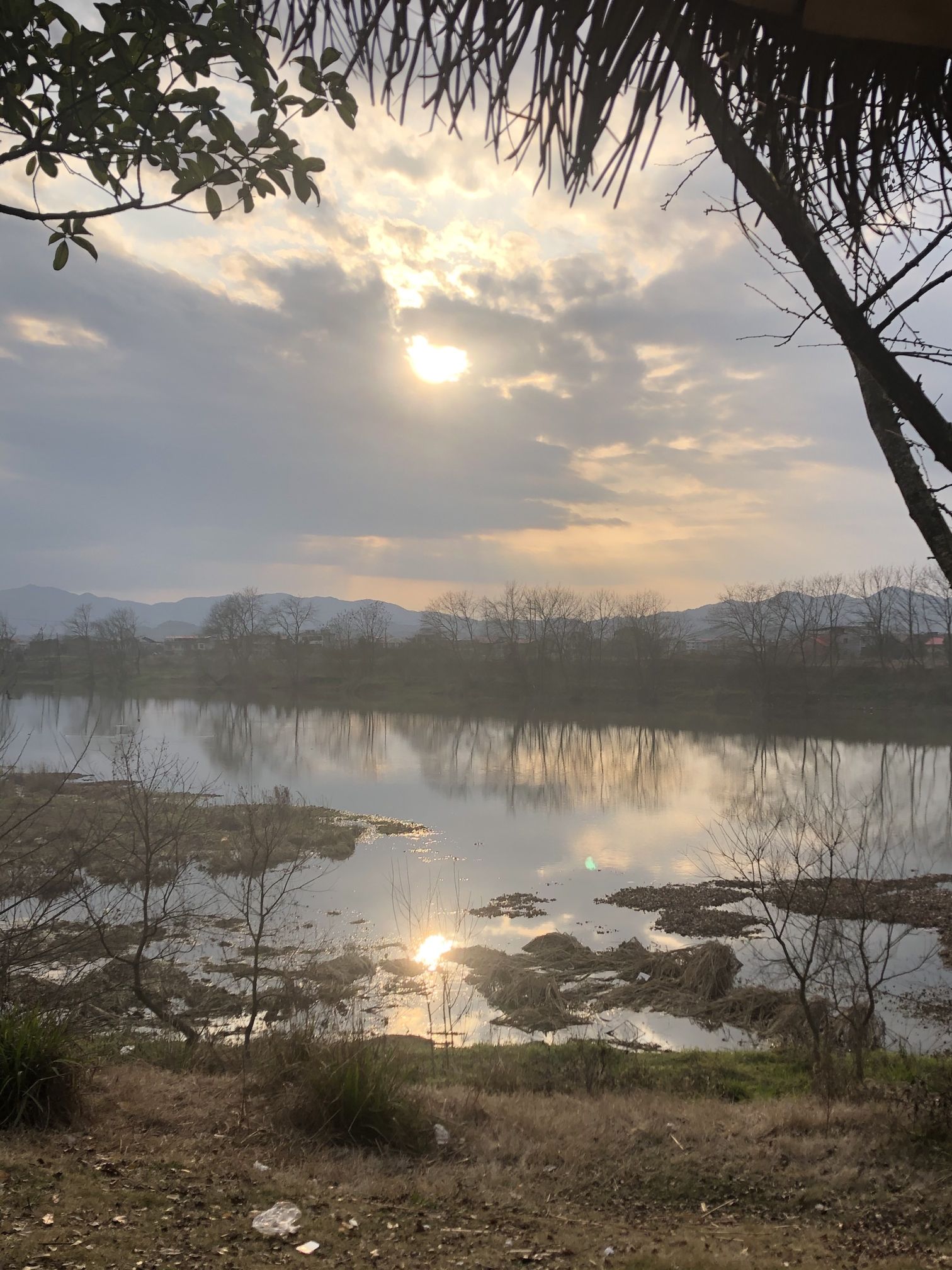 稻田公园旅行图片 3