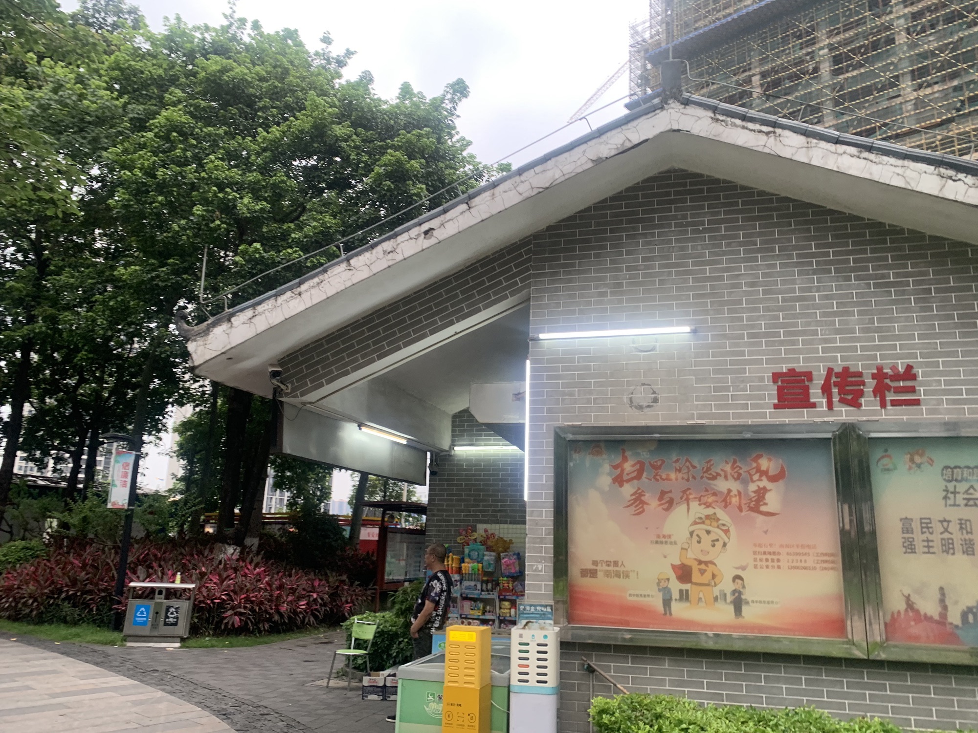 九龙公园旅行图片 2