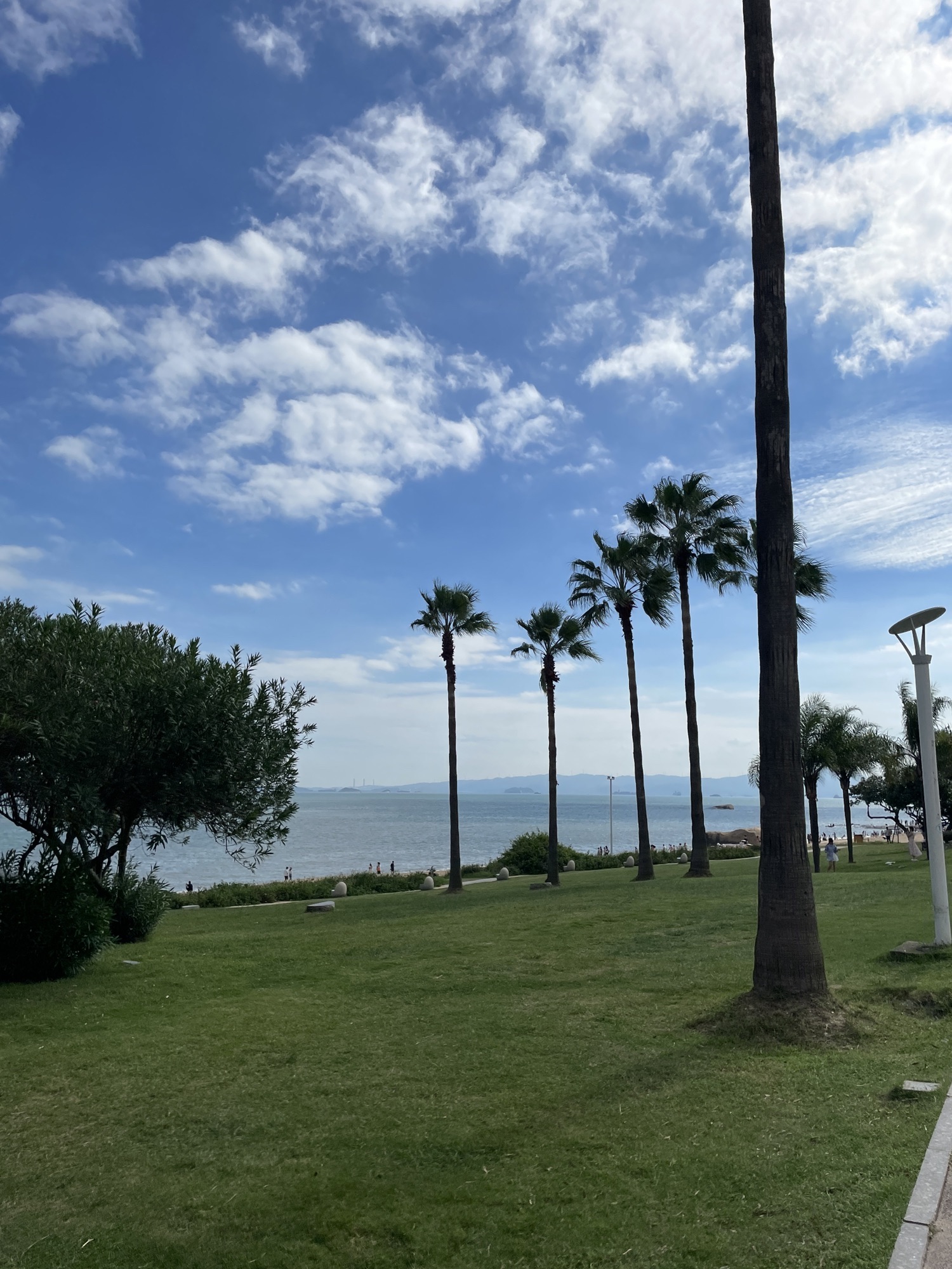 椰风寨沙滩旅行图片 2