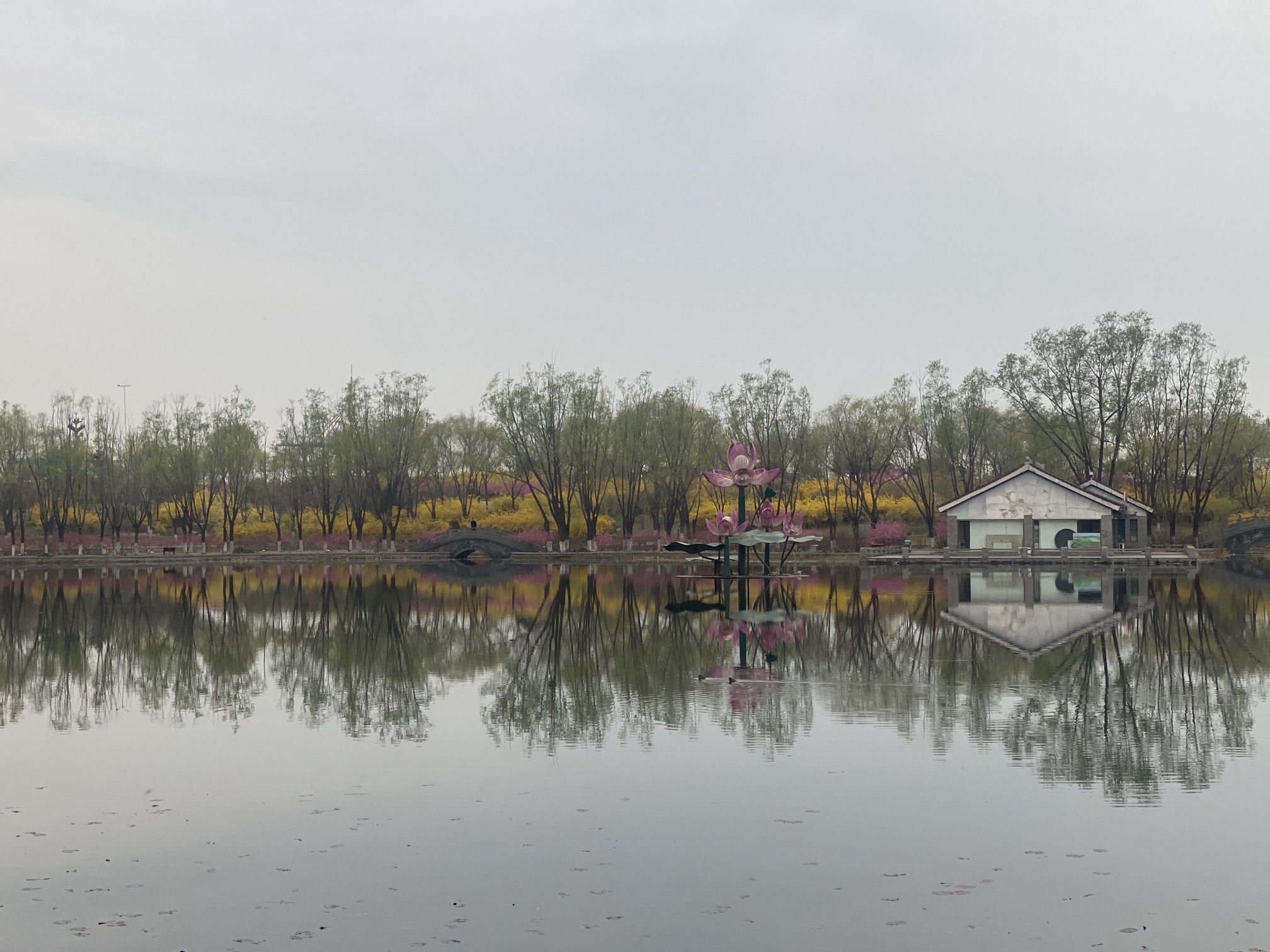黄台山公园旅行图片 1