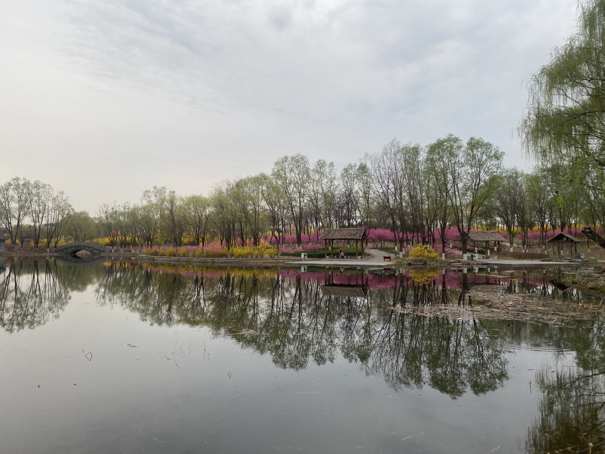 黄台山公园旅行图片 2