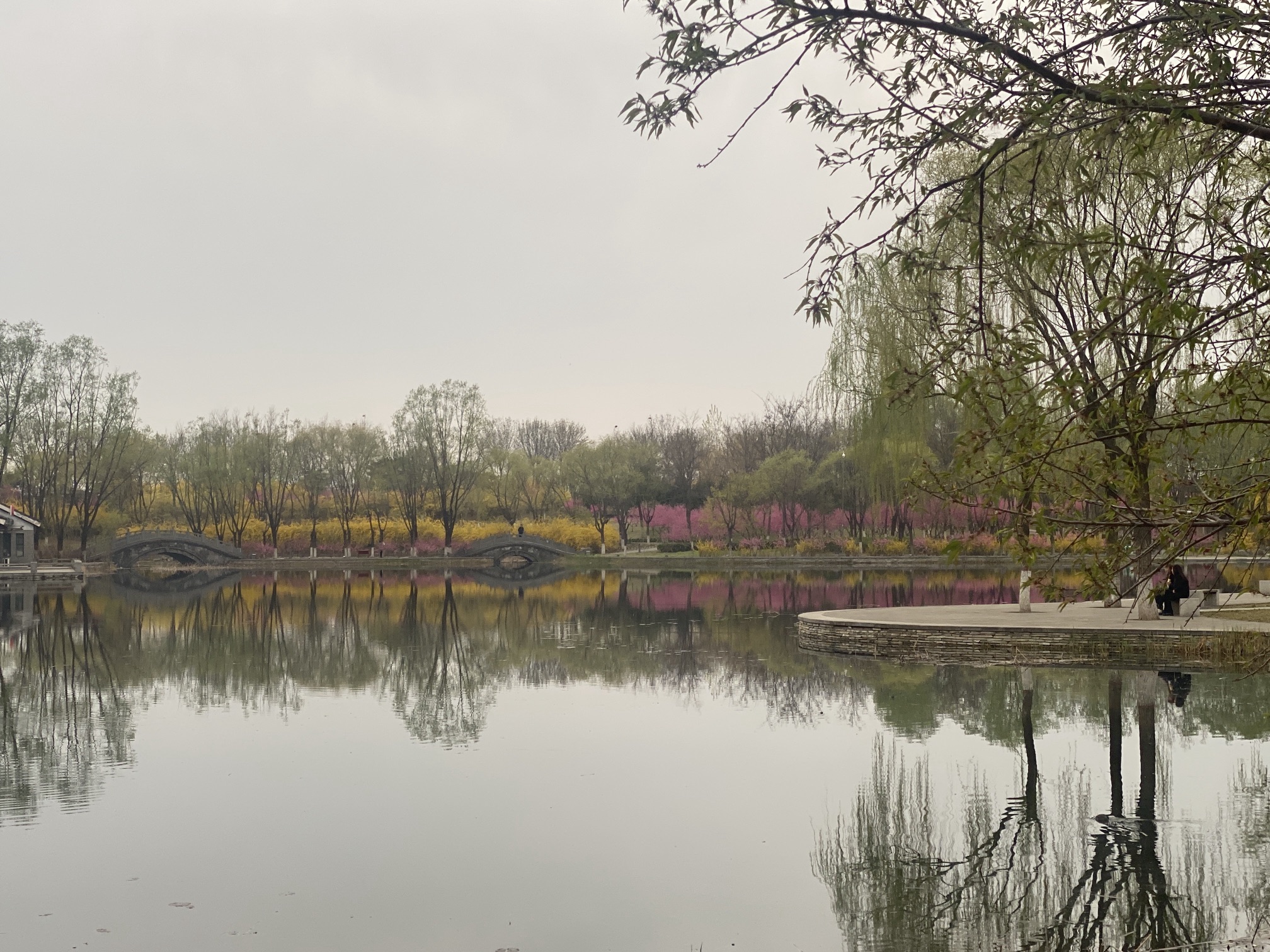 黄台山公园旅行图片 3
