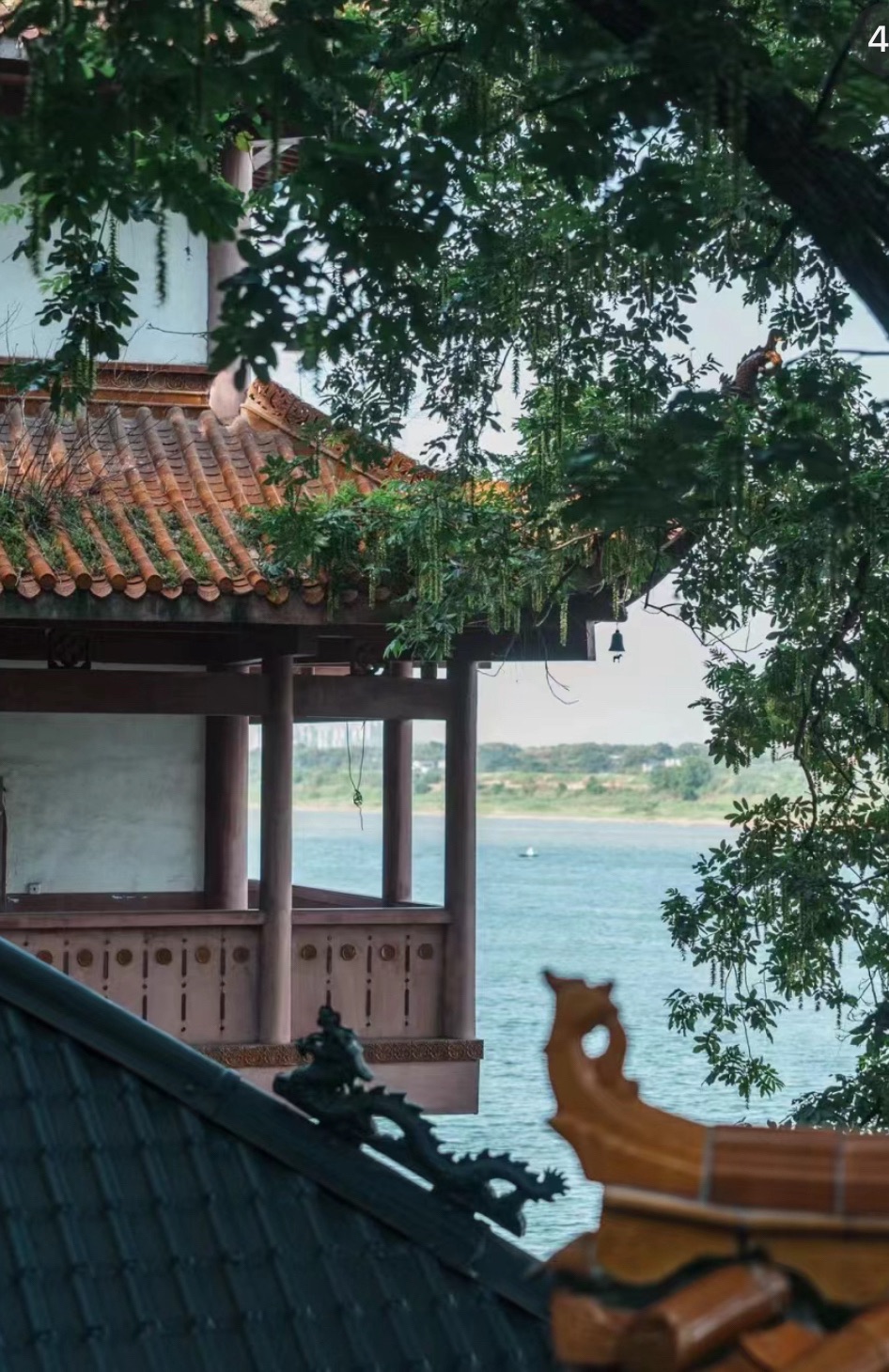空灵岸旅行图片 3