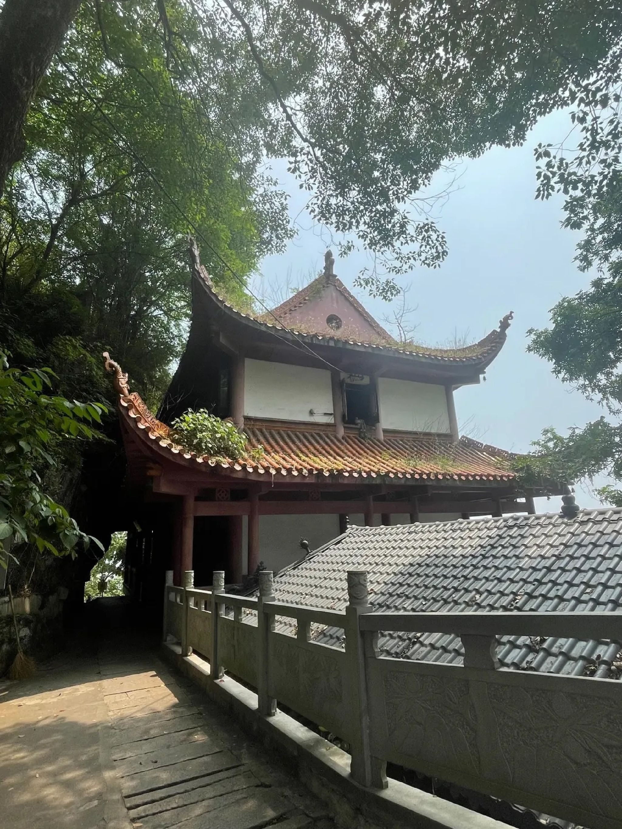 空灵岸旅行图片 1