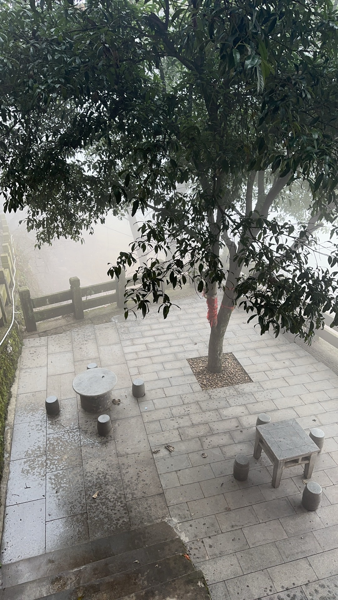 空灵岸旅行图片 3