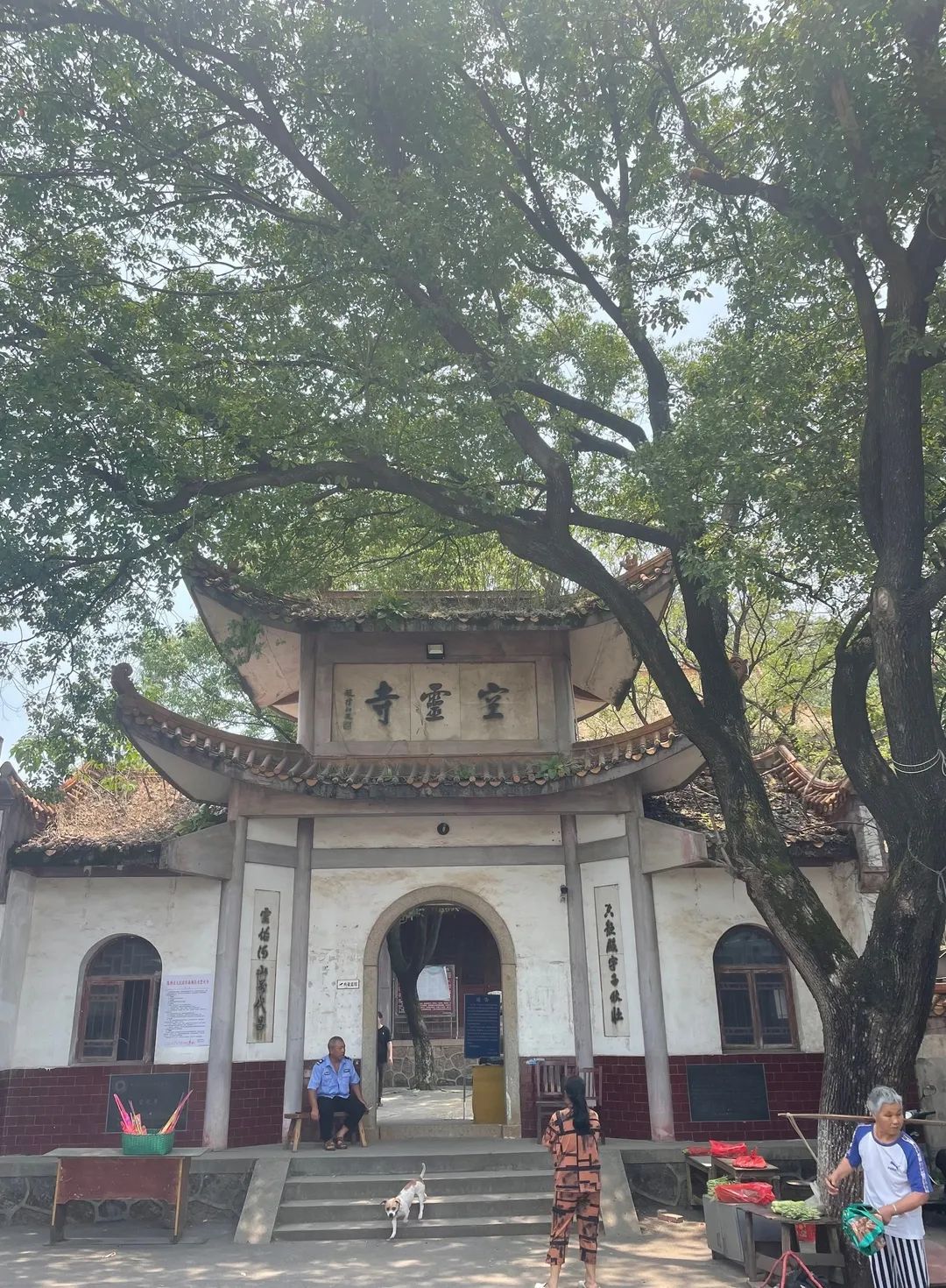 空灵岸旅行图片 2