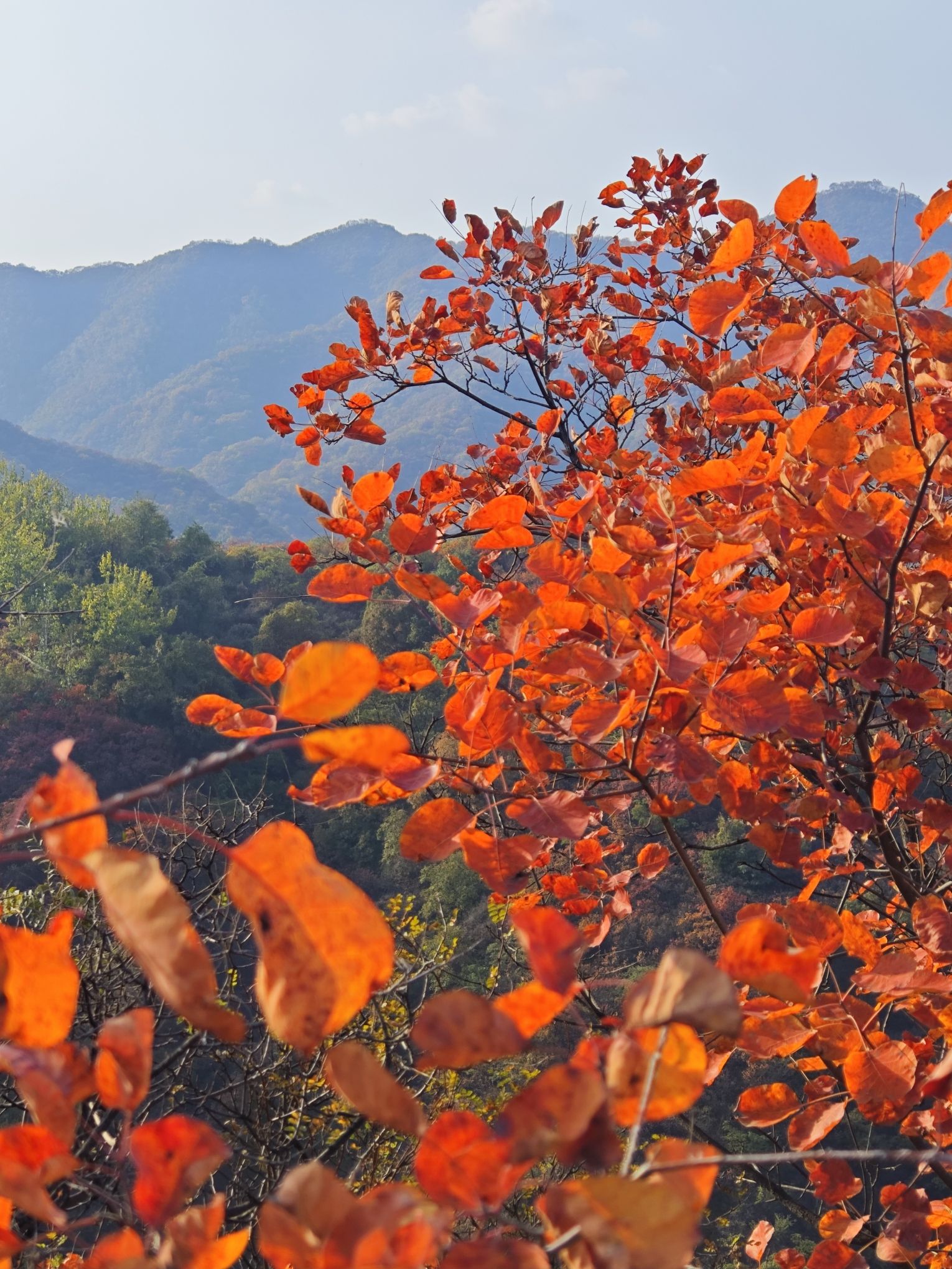 白马山旅游景区旅行图片 2